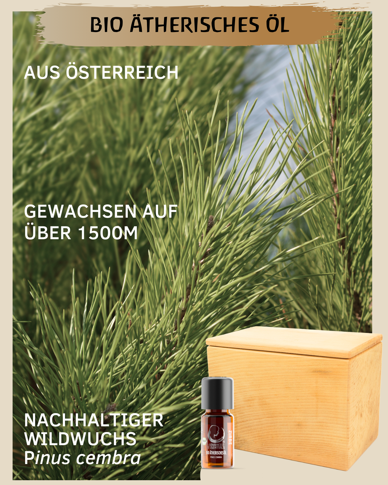 Zirbenschatulle klassisch mit Zirbenöl (10 ml)