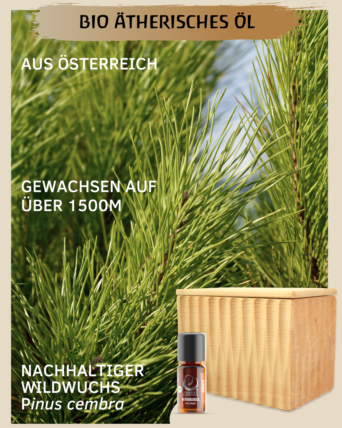 Zirbenschatulle gemeißelt mit Zirbenöl (10 ml)
