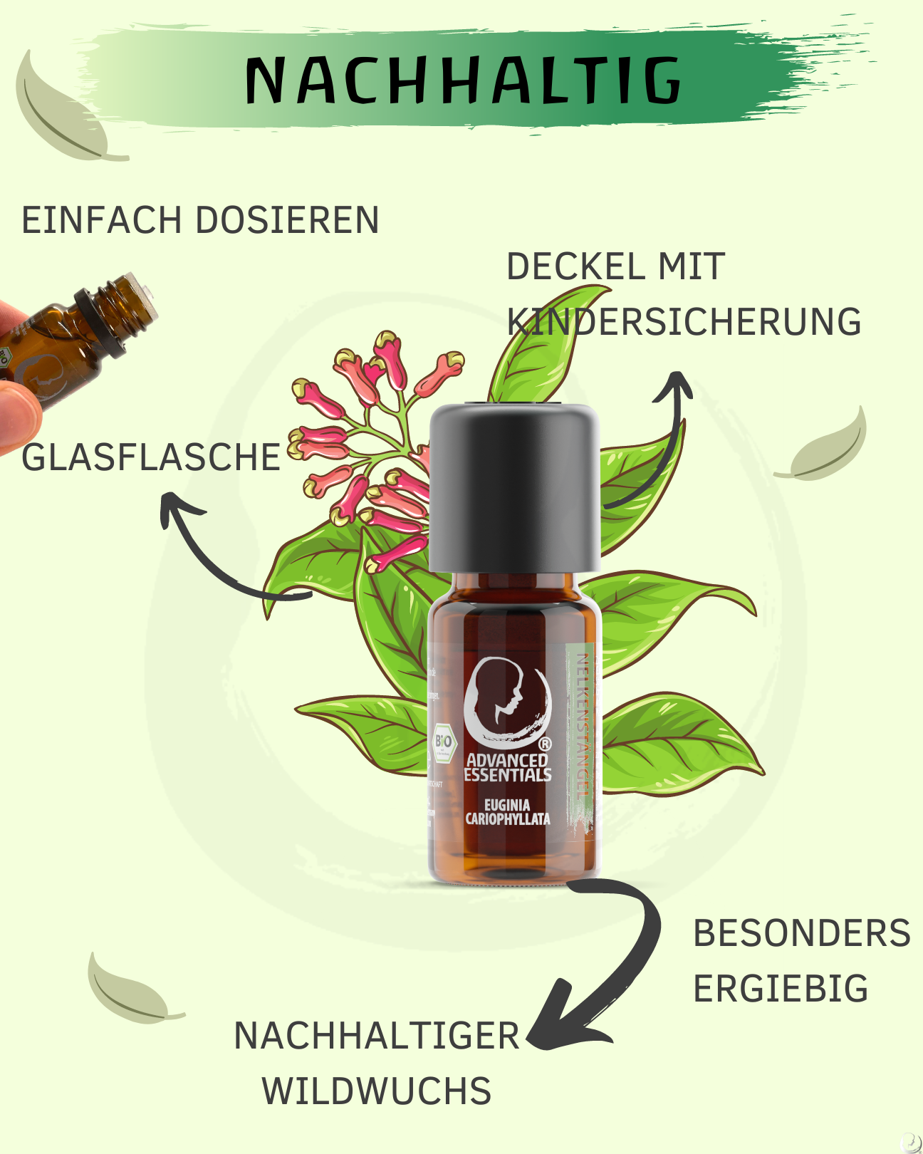 BIO Nelkenstängelöl (Euginia cariophyllata)