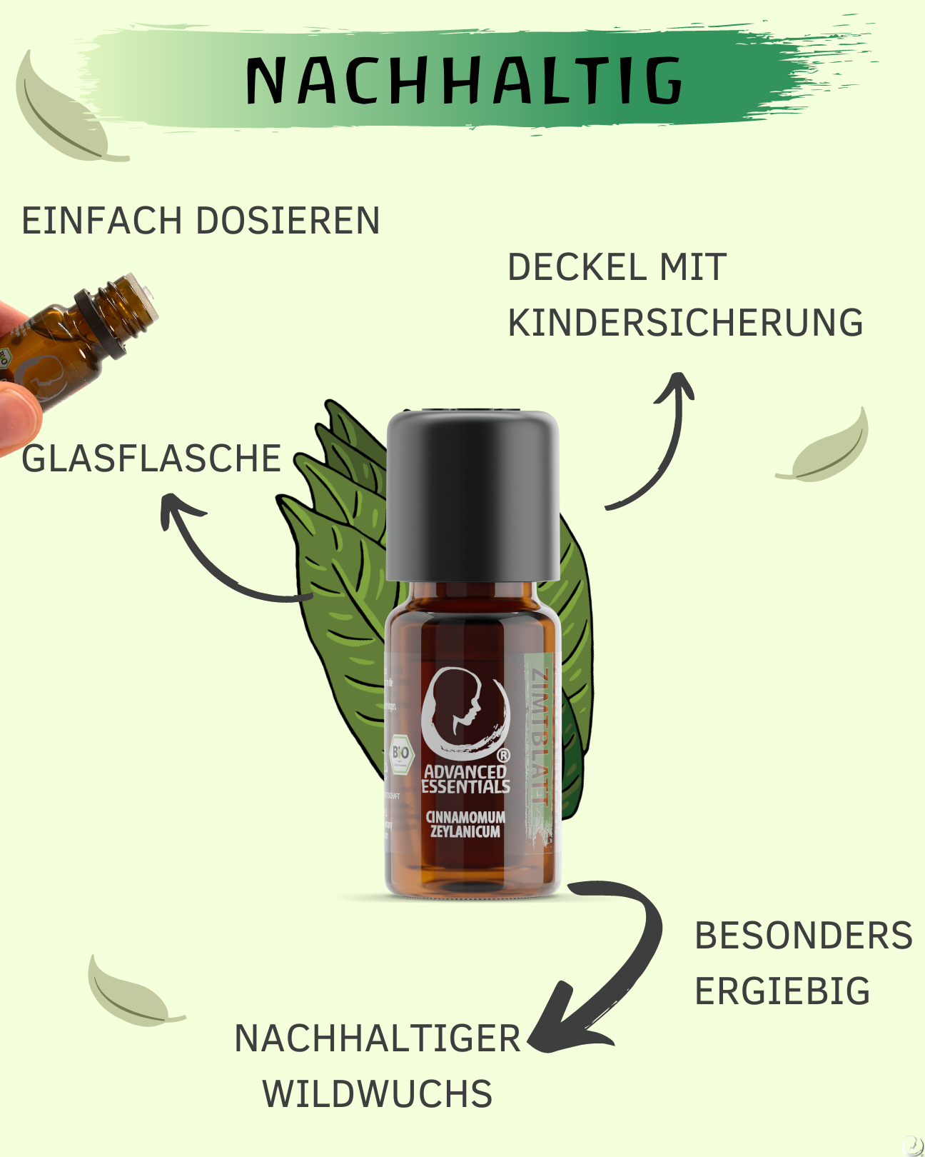 BIO Zimtblattöl (Cinnamomum zeylanicum)