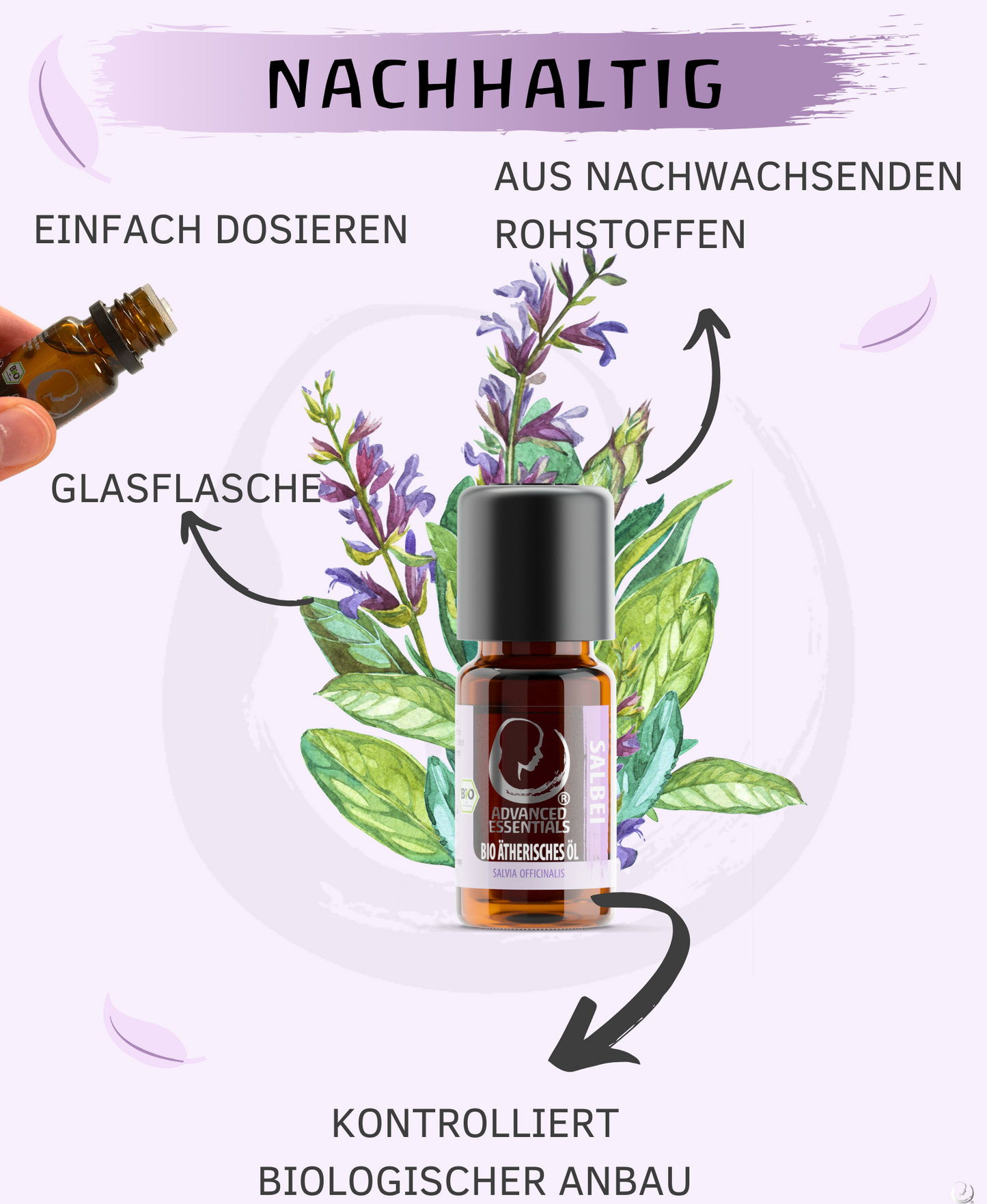 BIO Salbeiöl (Salvia officinalis)
