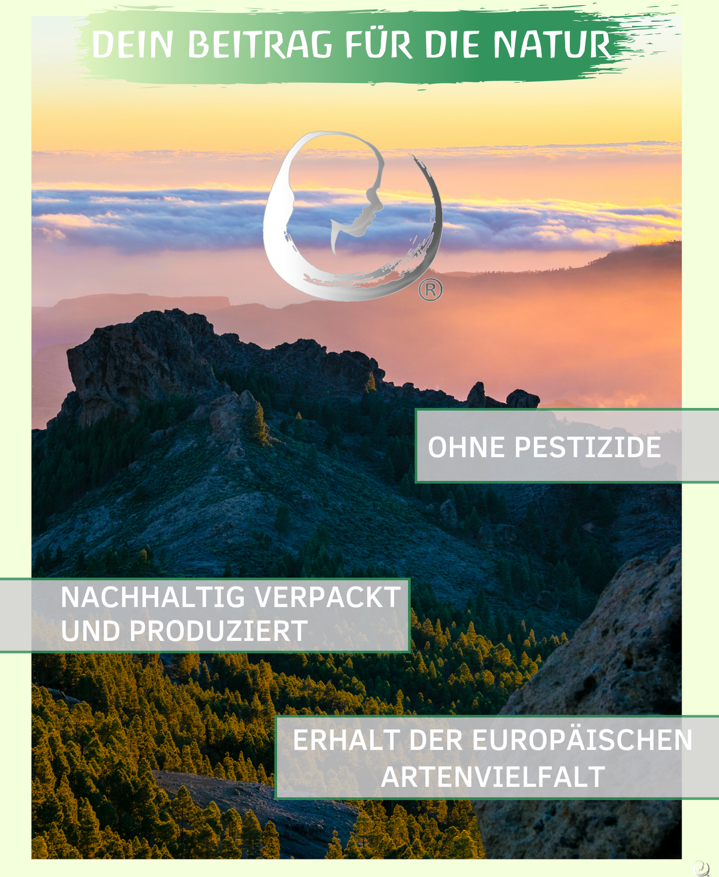 BIO Rosmarinöl (Rosmarinus officinalis) 30 ml