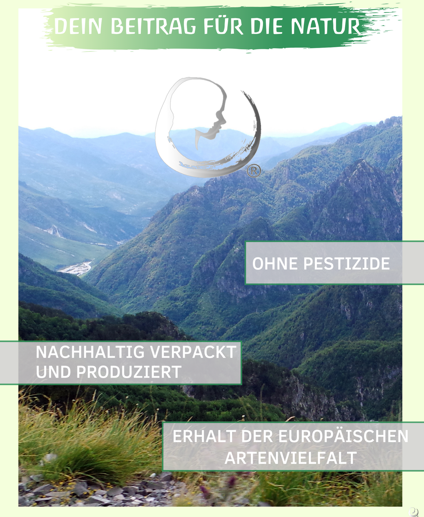 BIO Lorbeeröl (Laurus nobilis)
