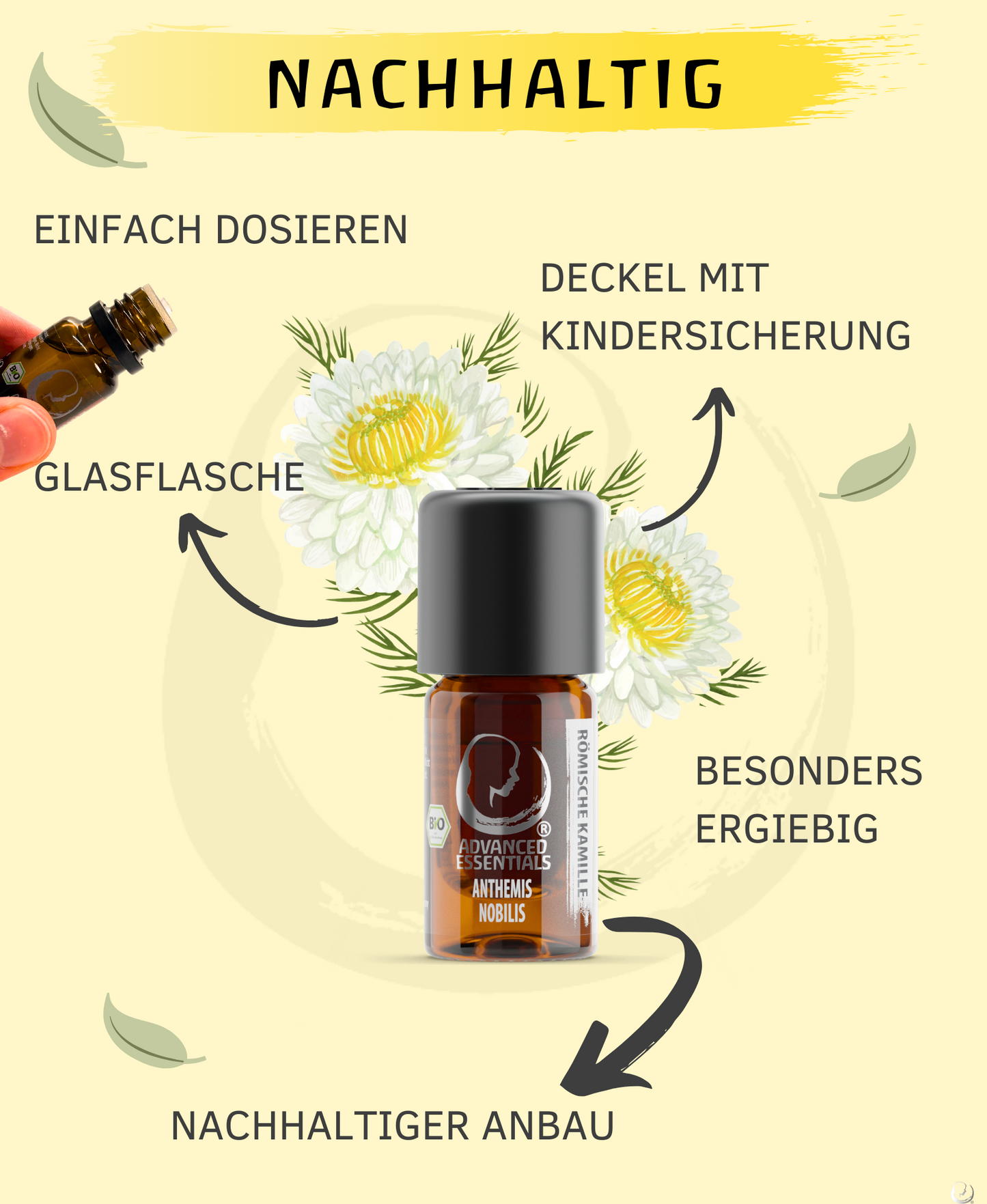 BIO römische Kamillenöl (Chamaemelum nobile)
