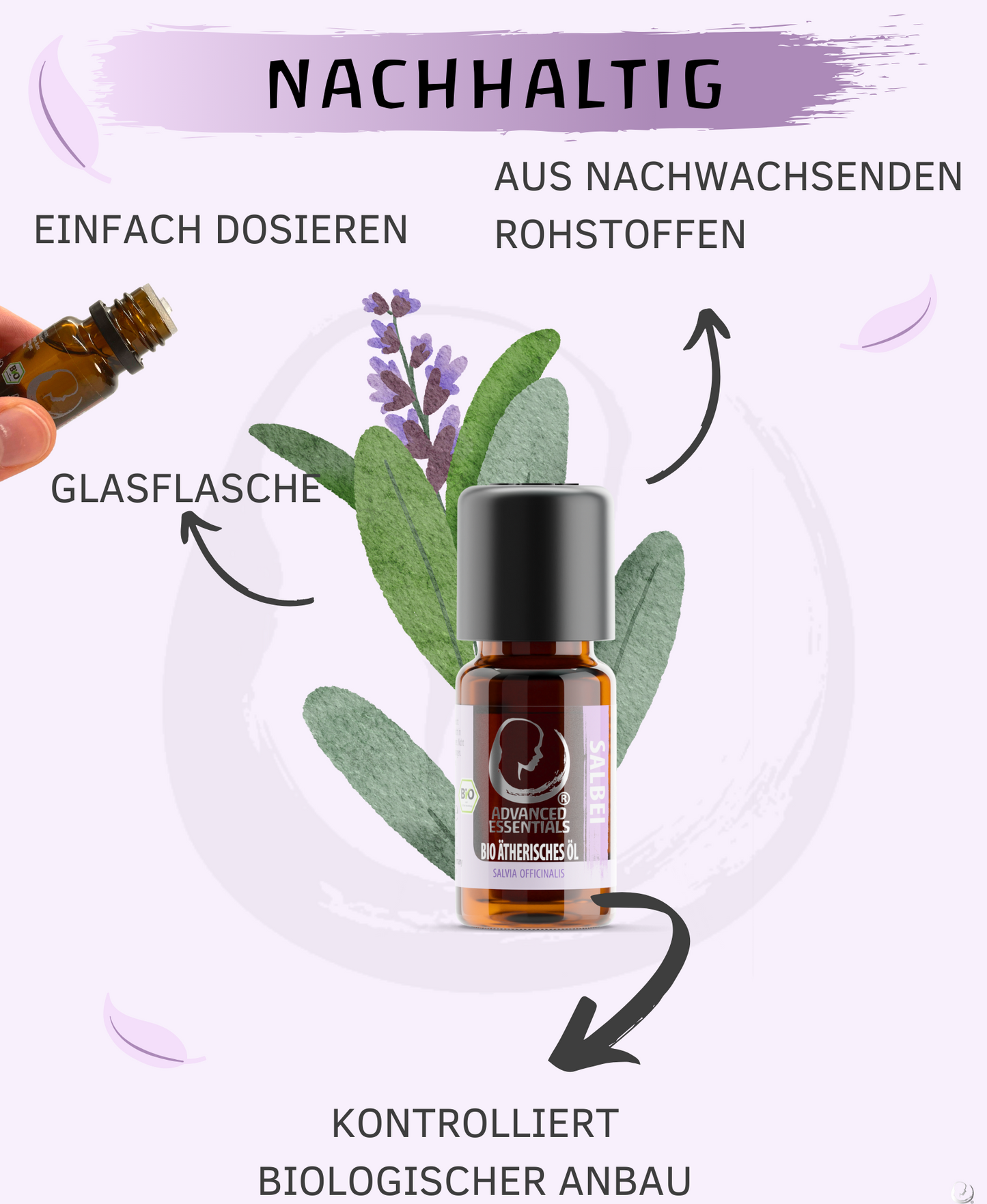 BIO Muskatellersalbeiöl (Salvia sclarea)