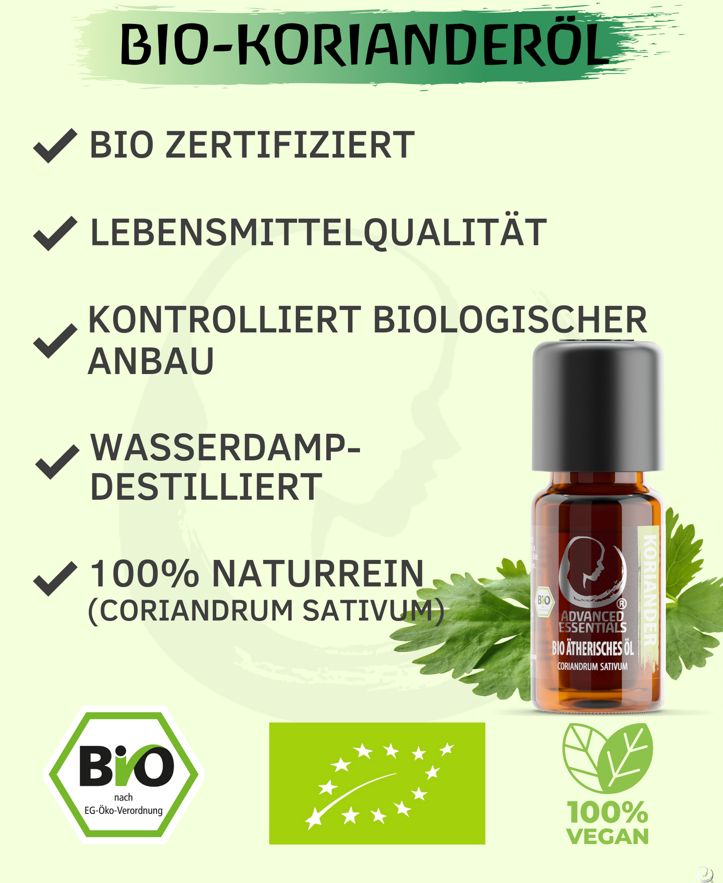 BIO Korianderöl (Coriandrum sativum)