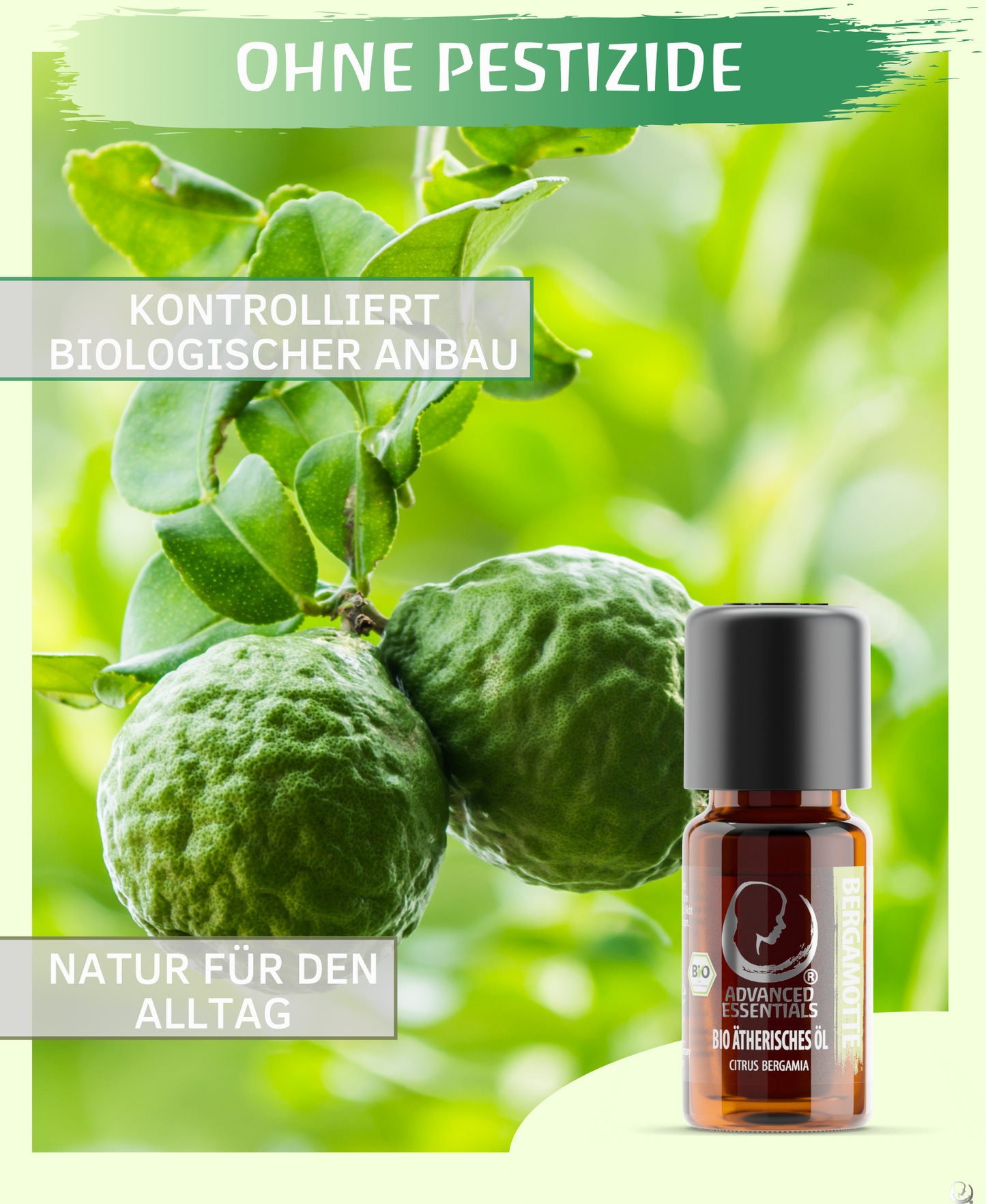 BIO Bergamottenöl (Citrus × bergamia)
