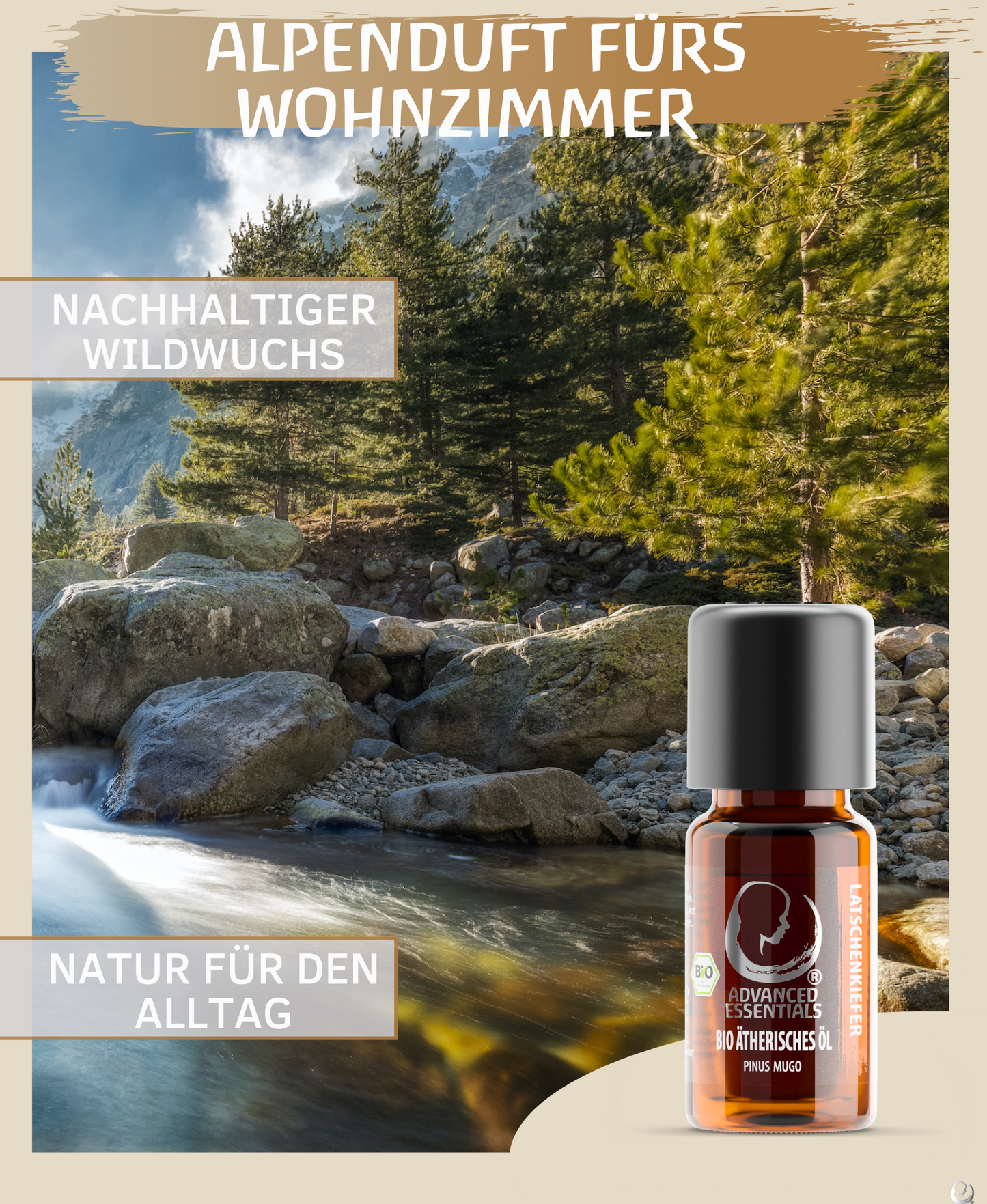 BIO Latschenkieferöl (Pinus mugo)