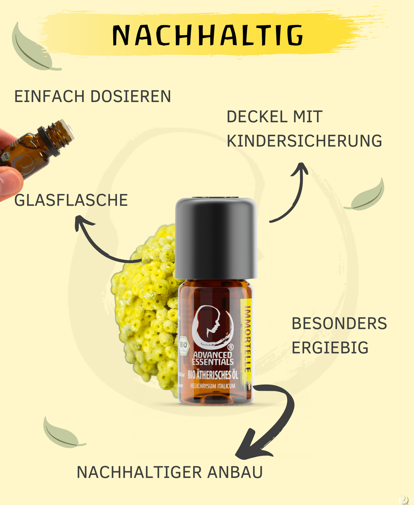 BIO Immortellenöl (Helichrysum italicum)