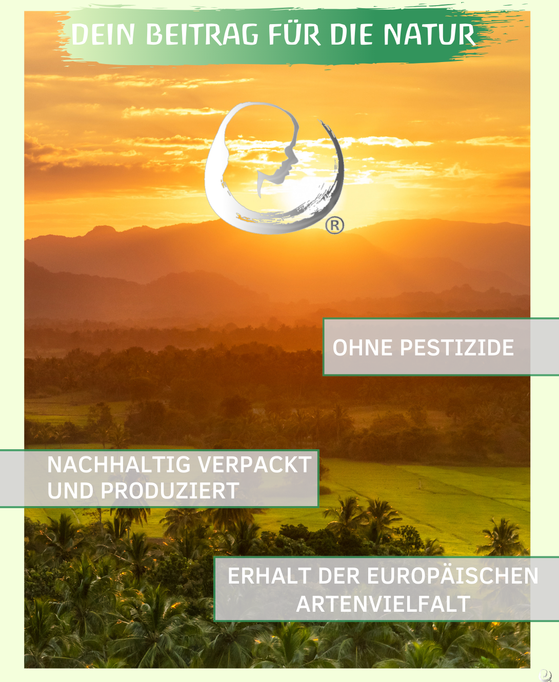 BIO Zitronengrasöl ätherisches Öl (Cymbopogon flexuosus) kontrolliert biologischer Anbau echtes Lemongrasöl bio aus Sri Lanka (Zitronengras, 30ml)