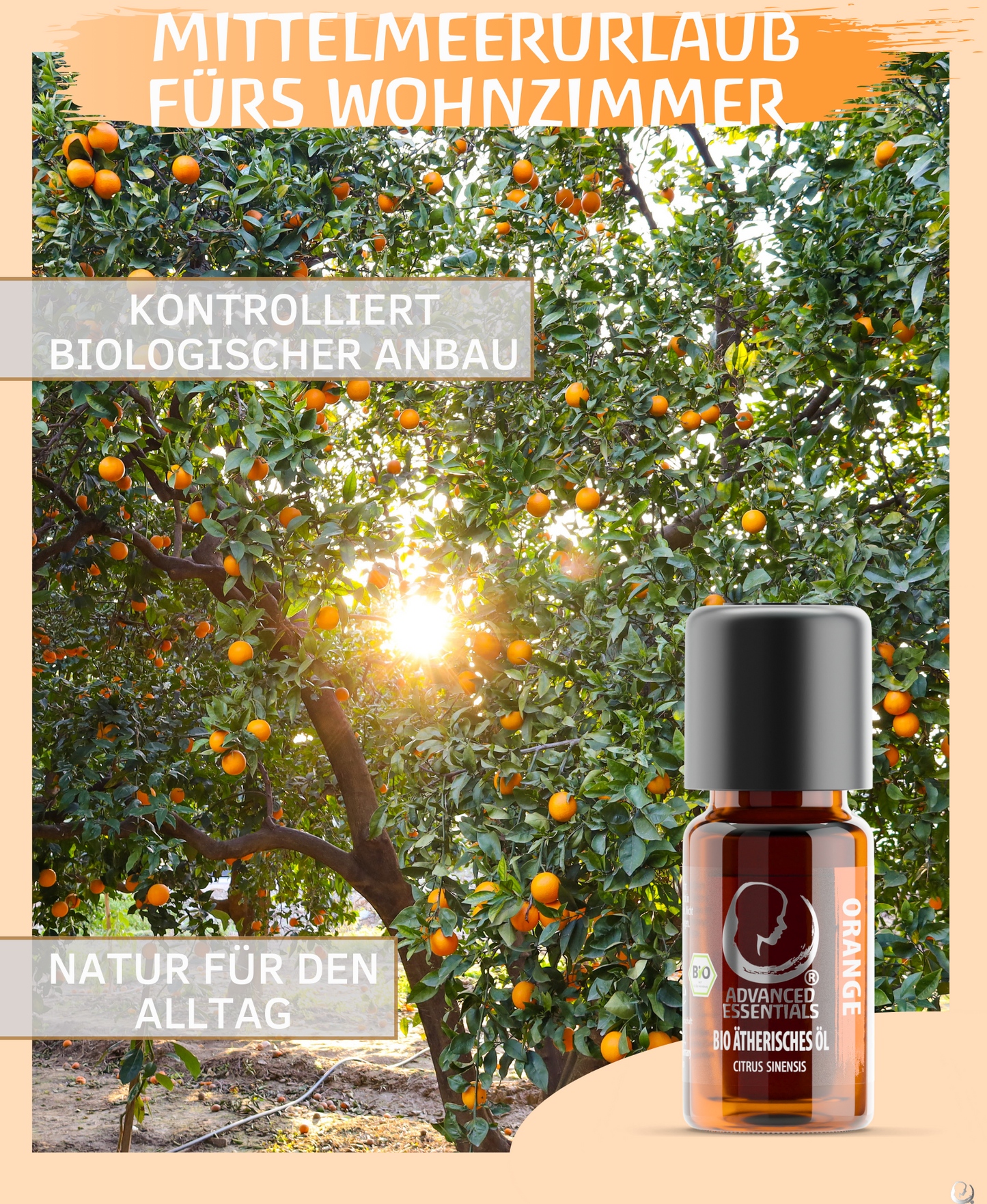 BIO Orangenöl (Citrus sinensis)