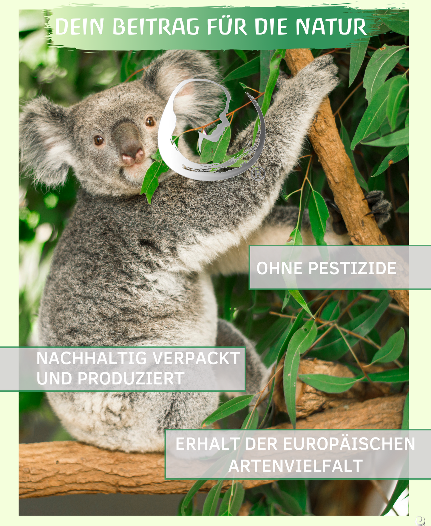 BIO Eukalyptusöl (Eucalyptus globulus)