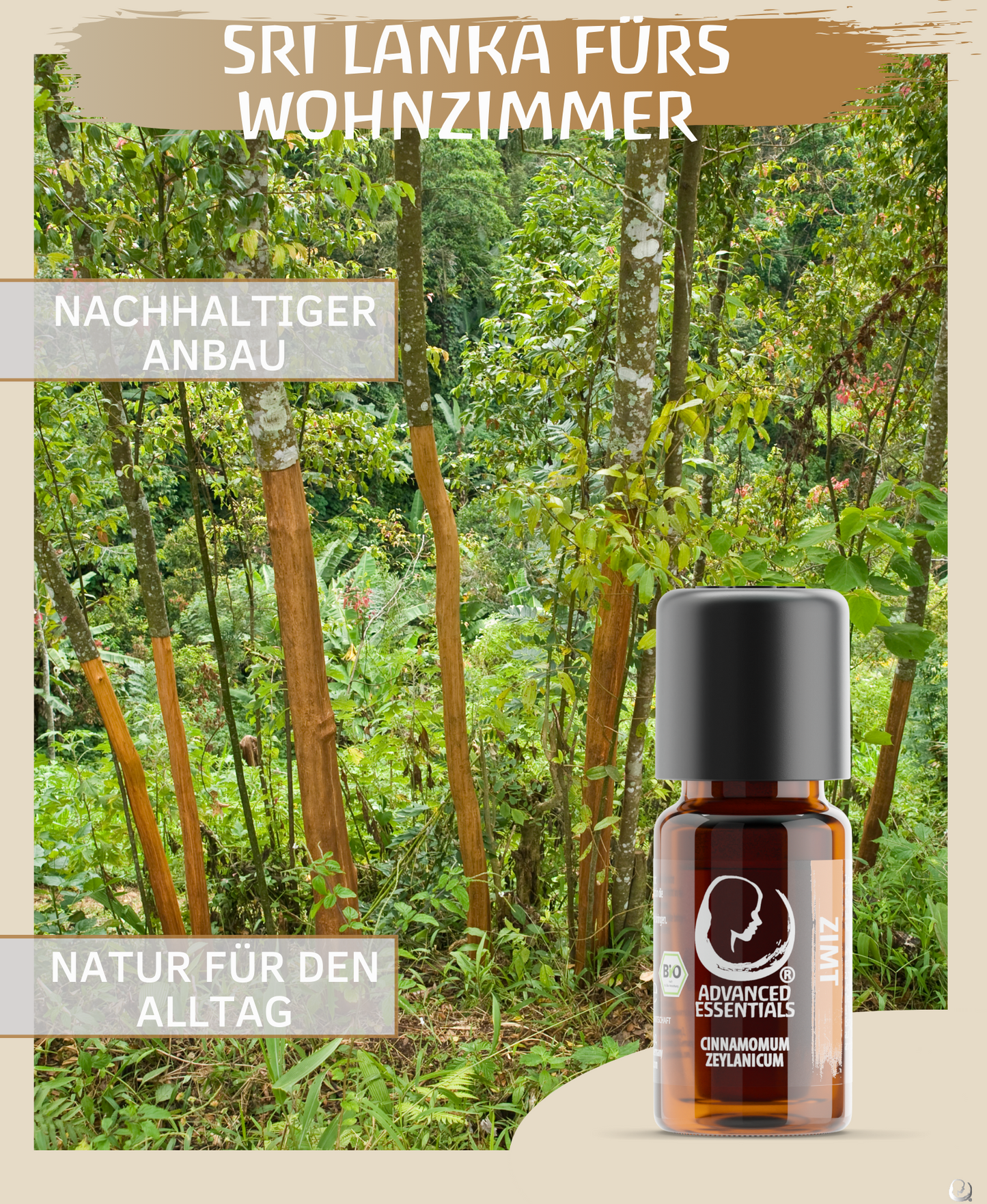 BIO Zimtöl (Cinnamomum zeylanicum) kontrolliert biologischer Anbau ätherisches Zimtrindenöl bio aus Sri Lanka (Zimt, 10ml)