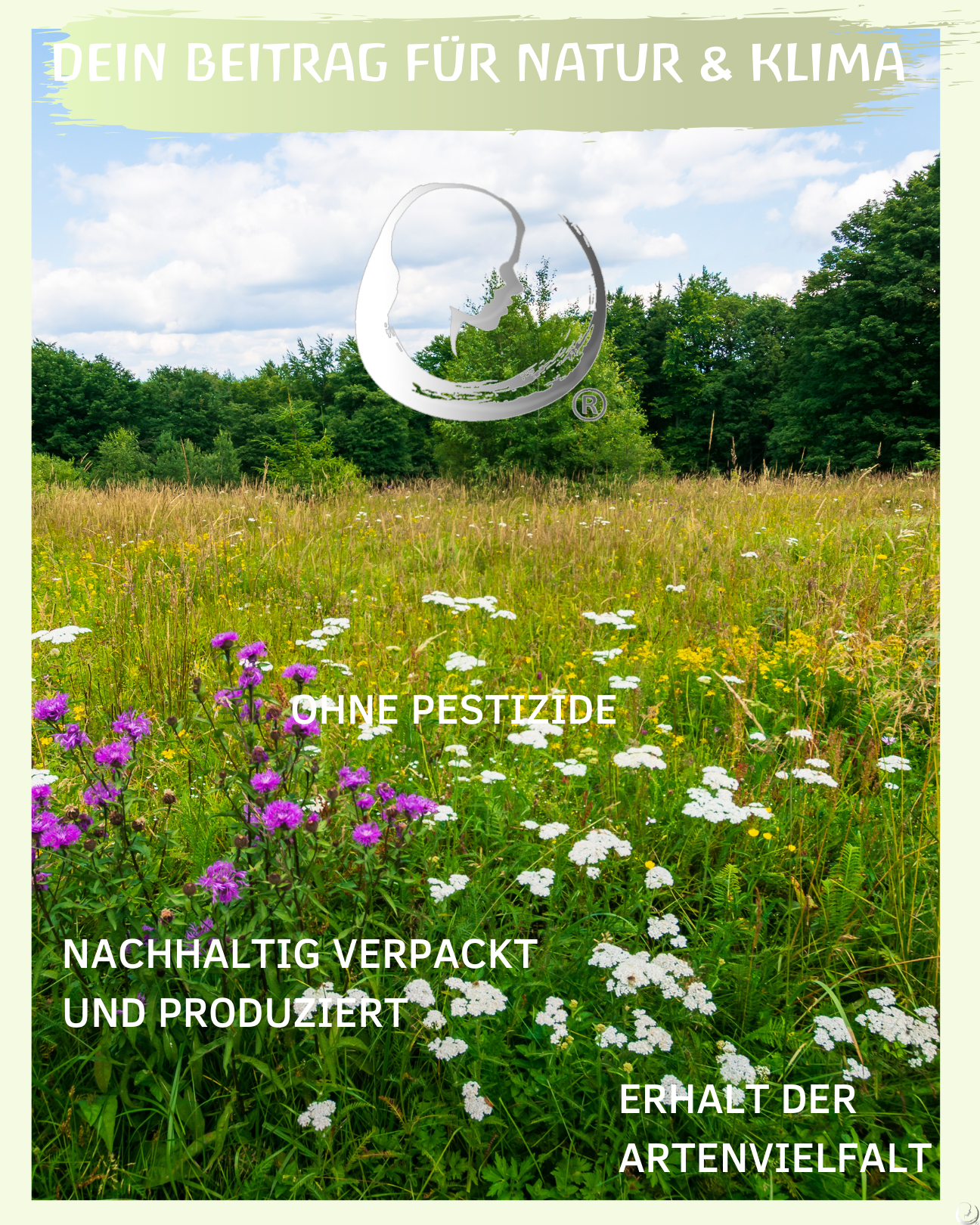 BIO Melissenwasser