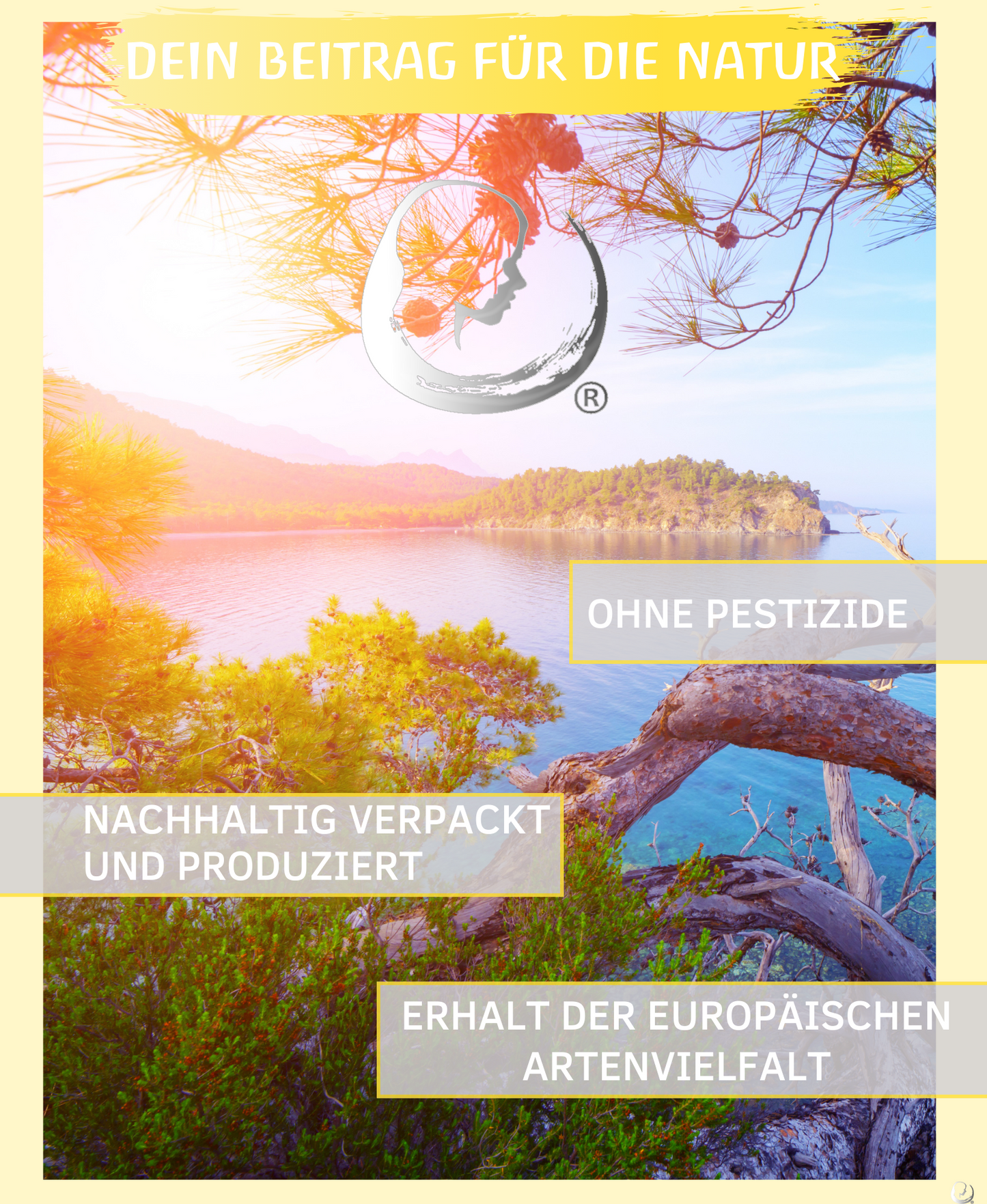 BIO Zitronenöl (Citrus limon)