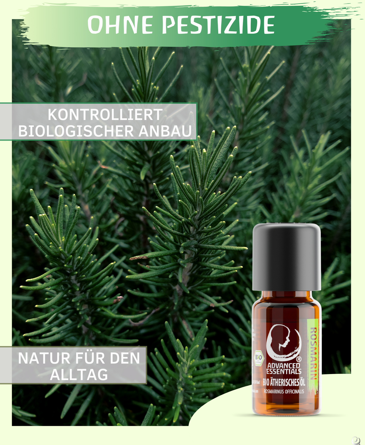 BIO Rosmarinöl (Rosmarinus officinalis ct. campher)