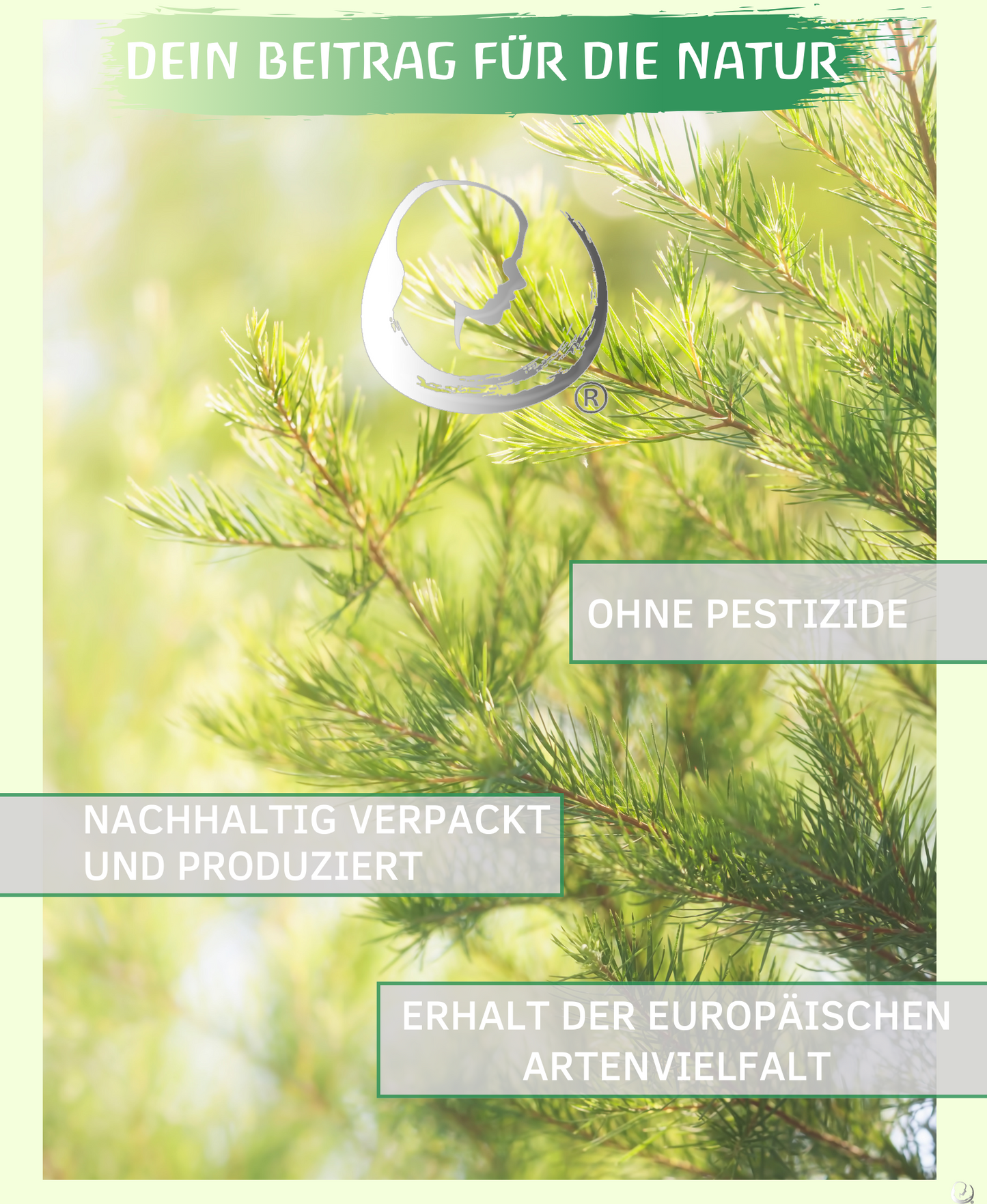 BIO Teebaumöl (Melaleuca alternifolia)