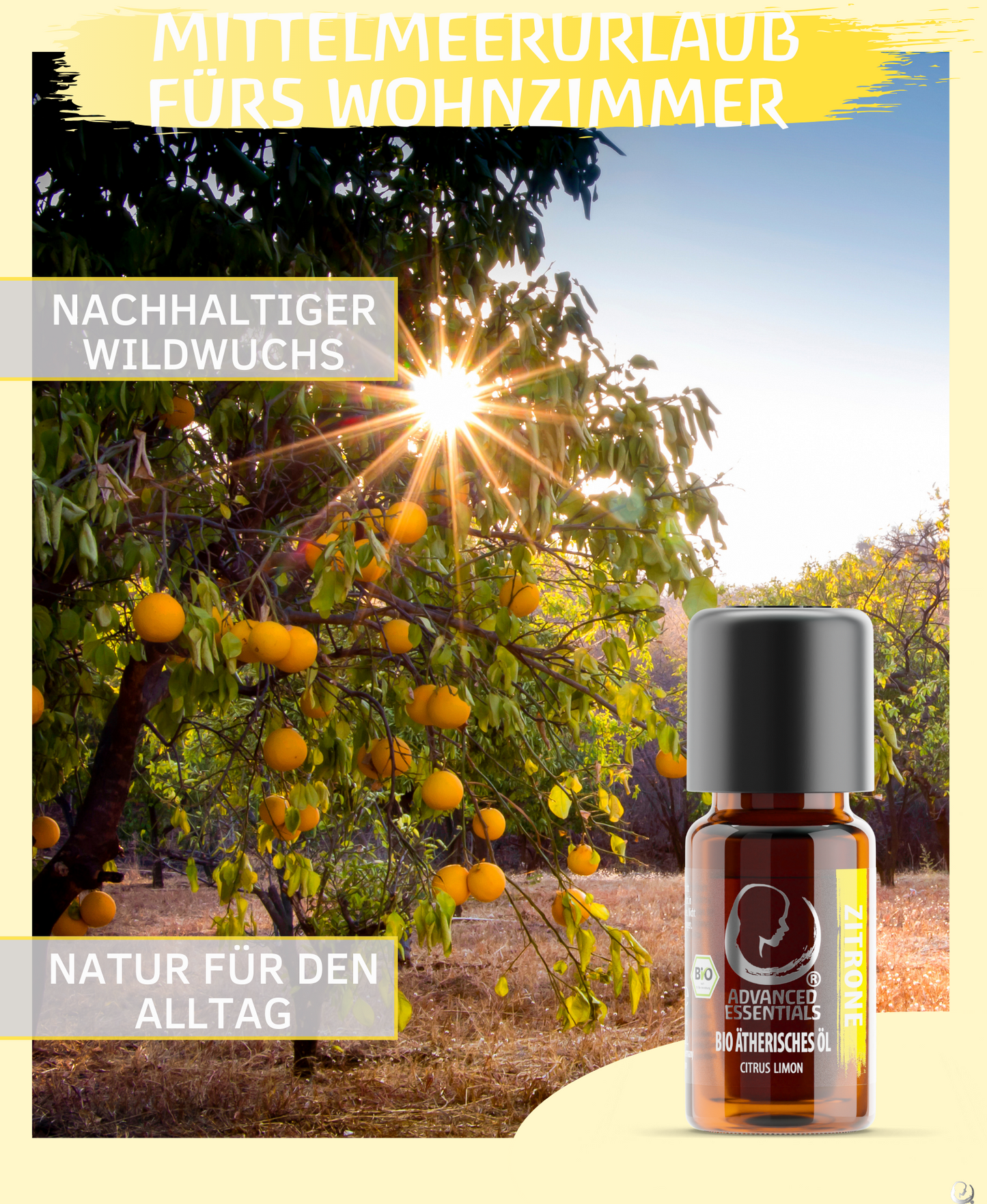 BIO Zitronenöl (Citrus limon)