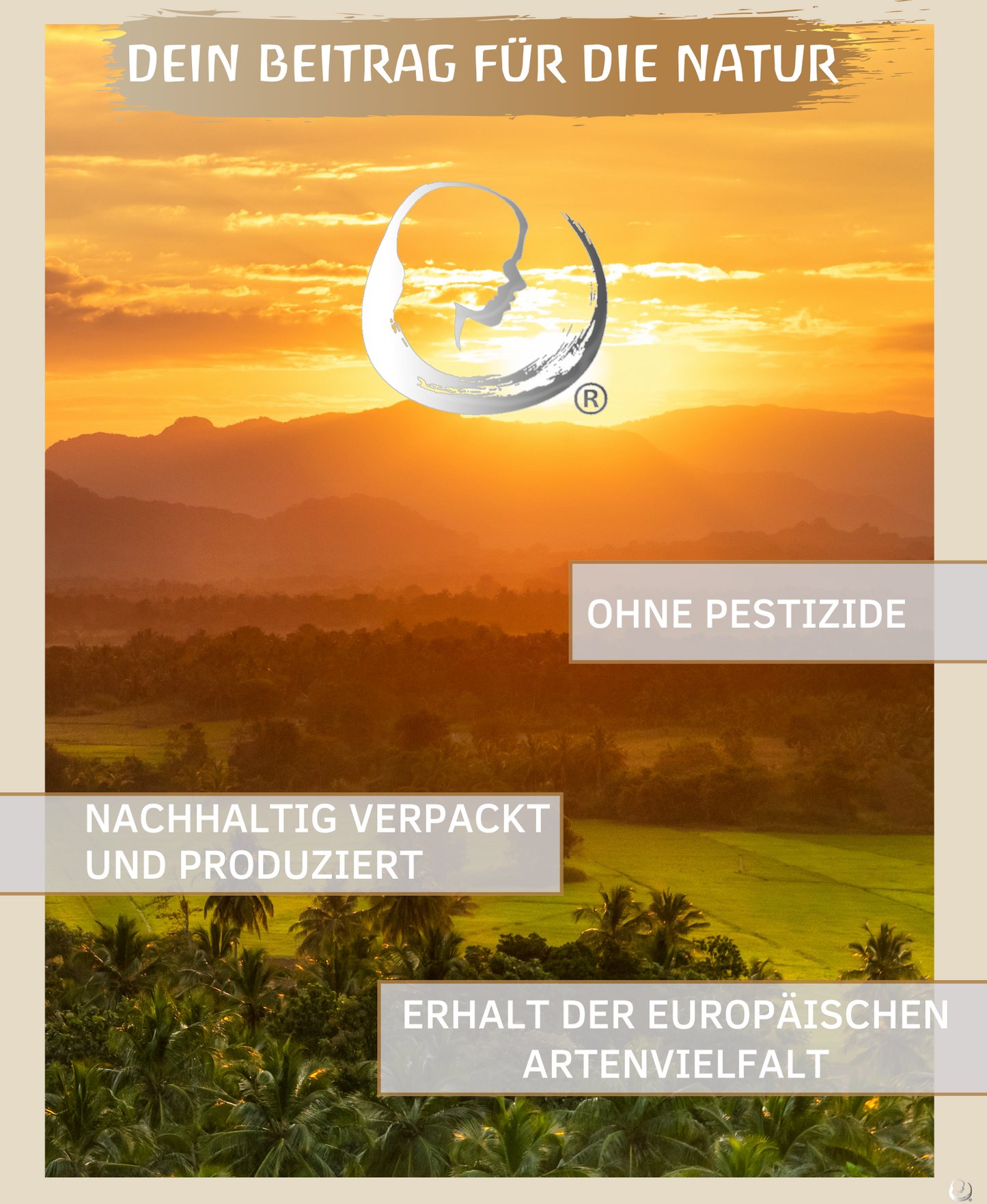 BIO Zimtöl (Cinnamomum zeylanicum) kontrolliert biologischer Anbau ätherisches Zimtrindenöl bio aus Sri Lanka (Zimt, 10ml)