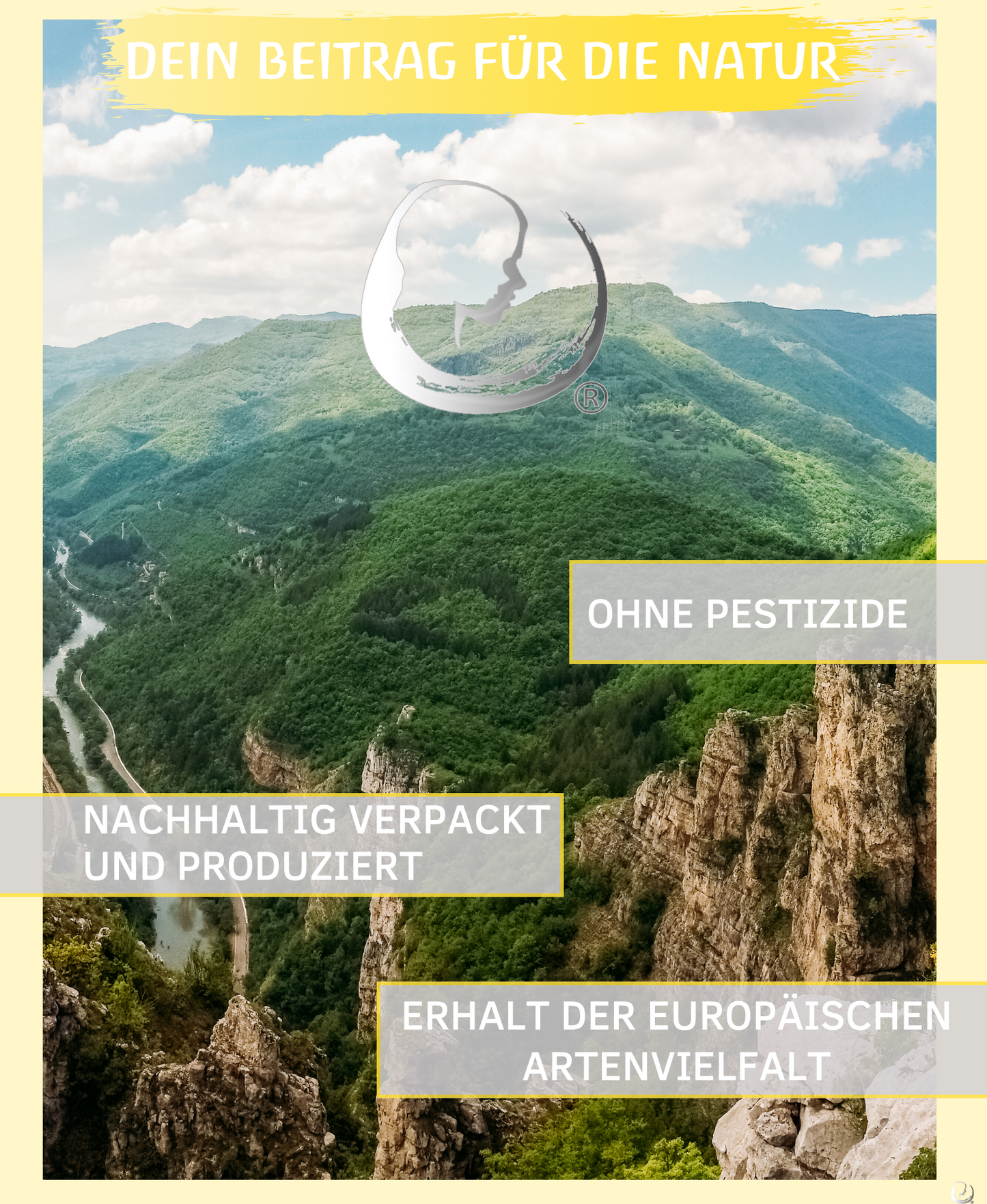 BIO Fenchelöl (Foeniculum vulgare)