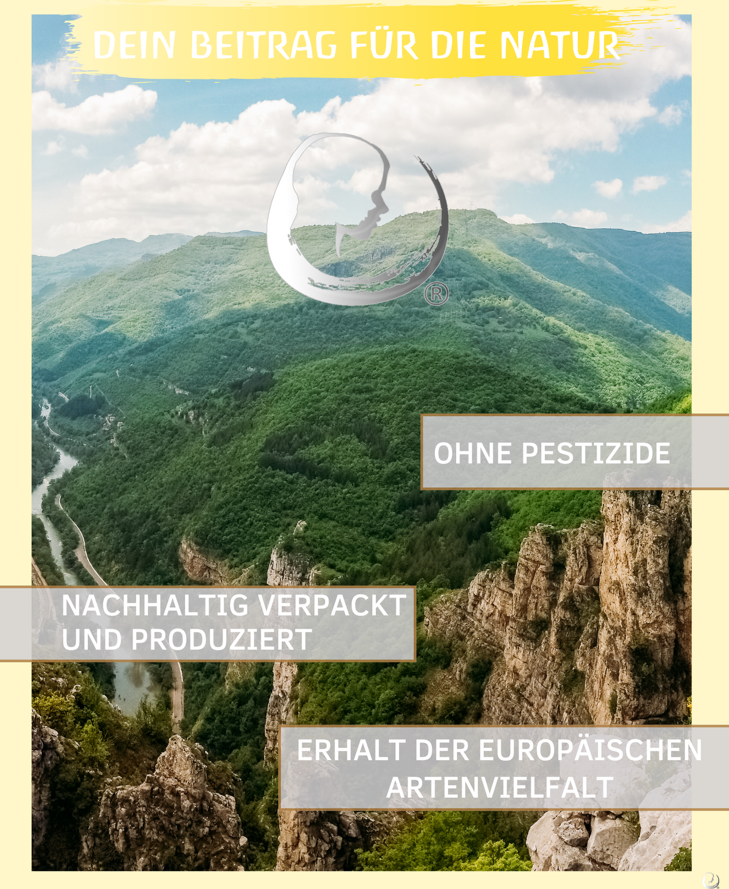 BIO deutsche Kamillenöl (Matricaria chamomilla)