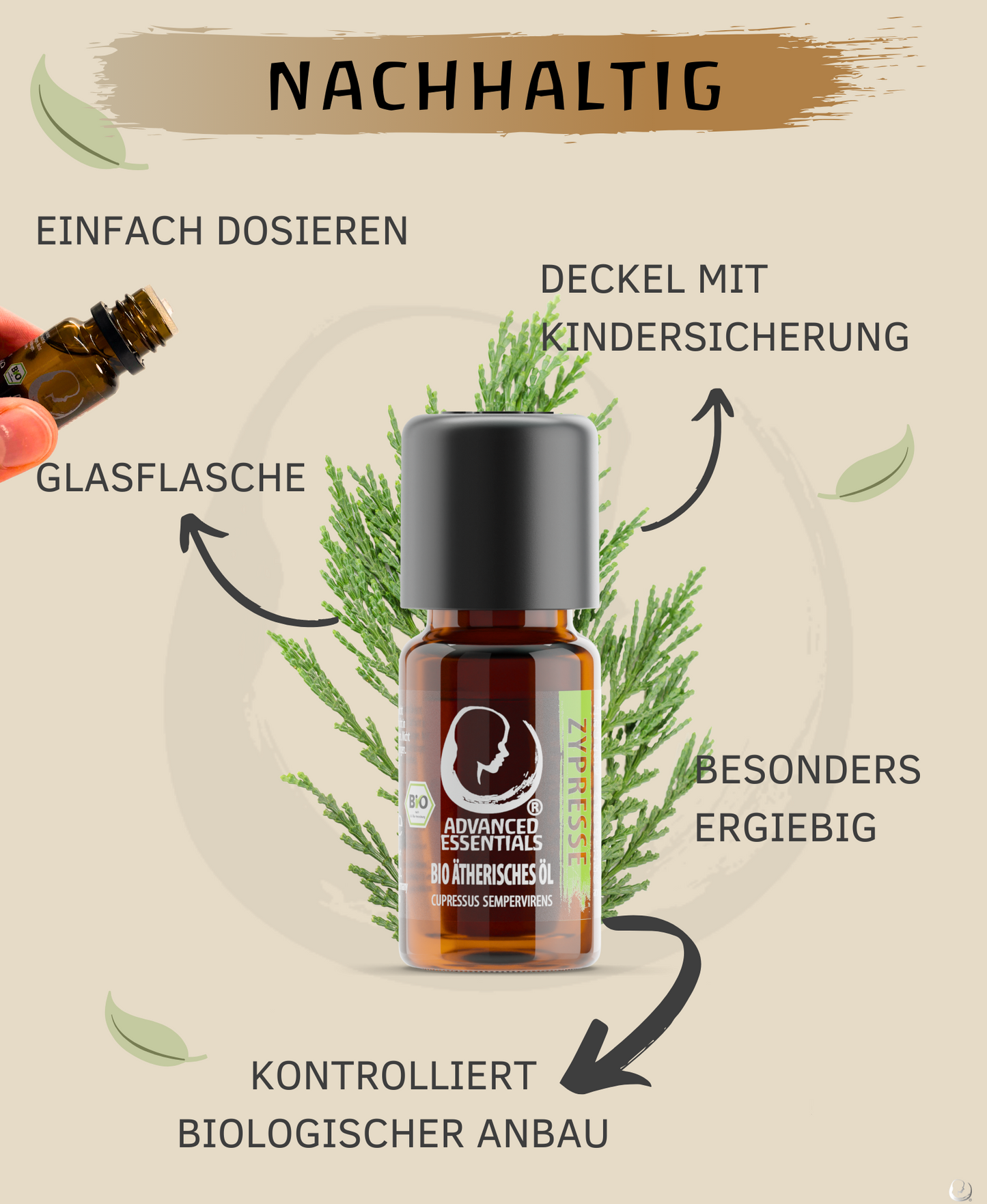 BIO Zypressenöl (Cupressus sempervirens)
