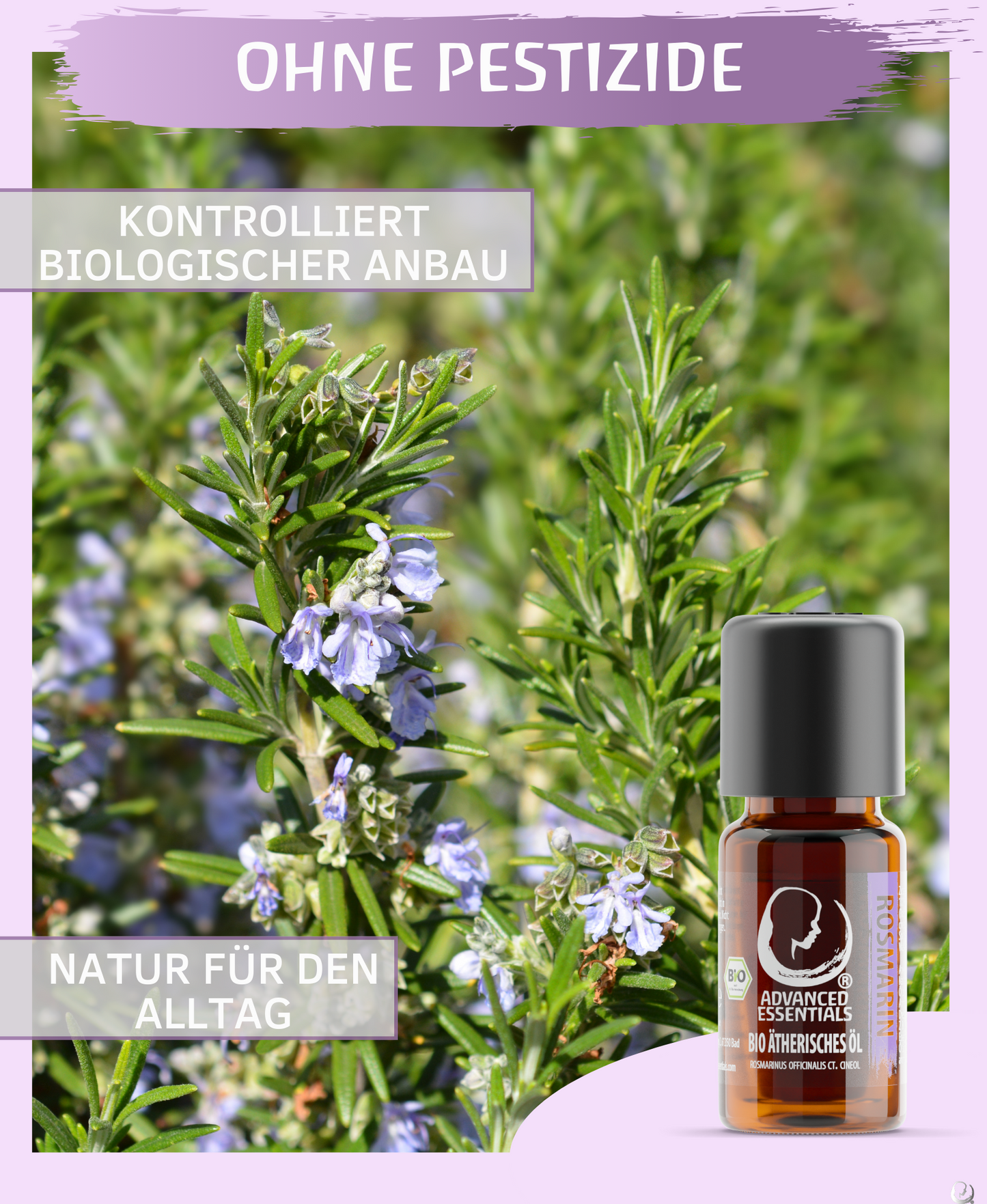 BIO Rosmarinöl (Rosmarinus officinalis ct. Cineol)