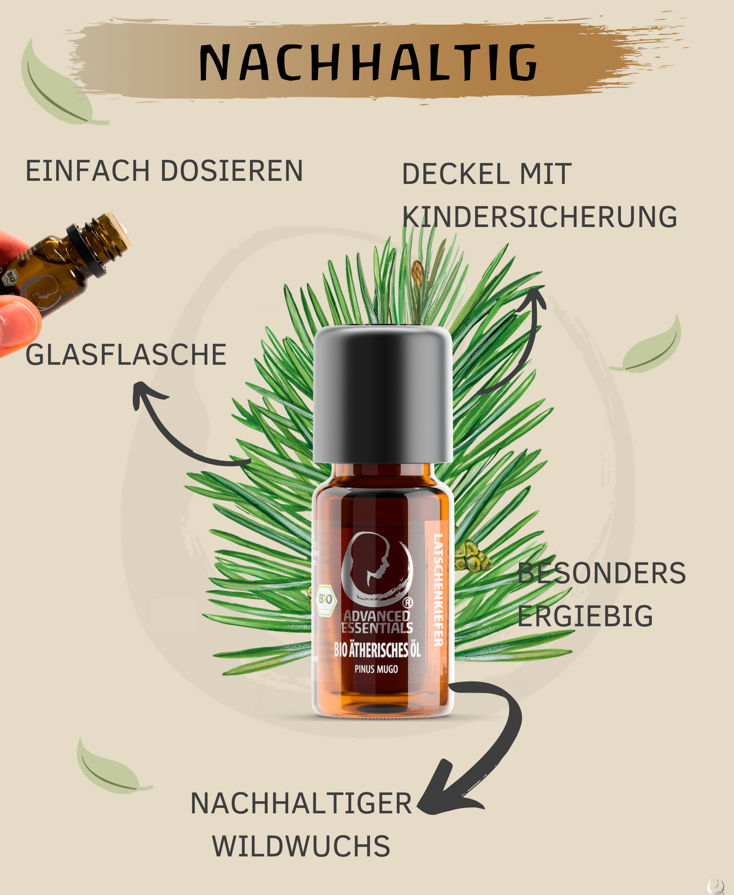 BIO Latschenkieferöl (Pinus mugo)