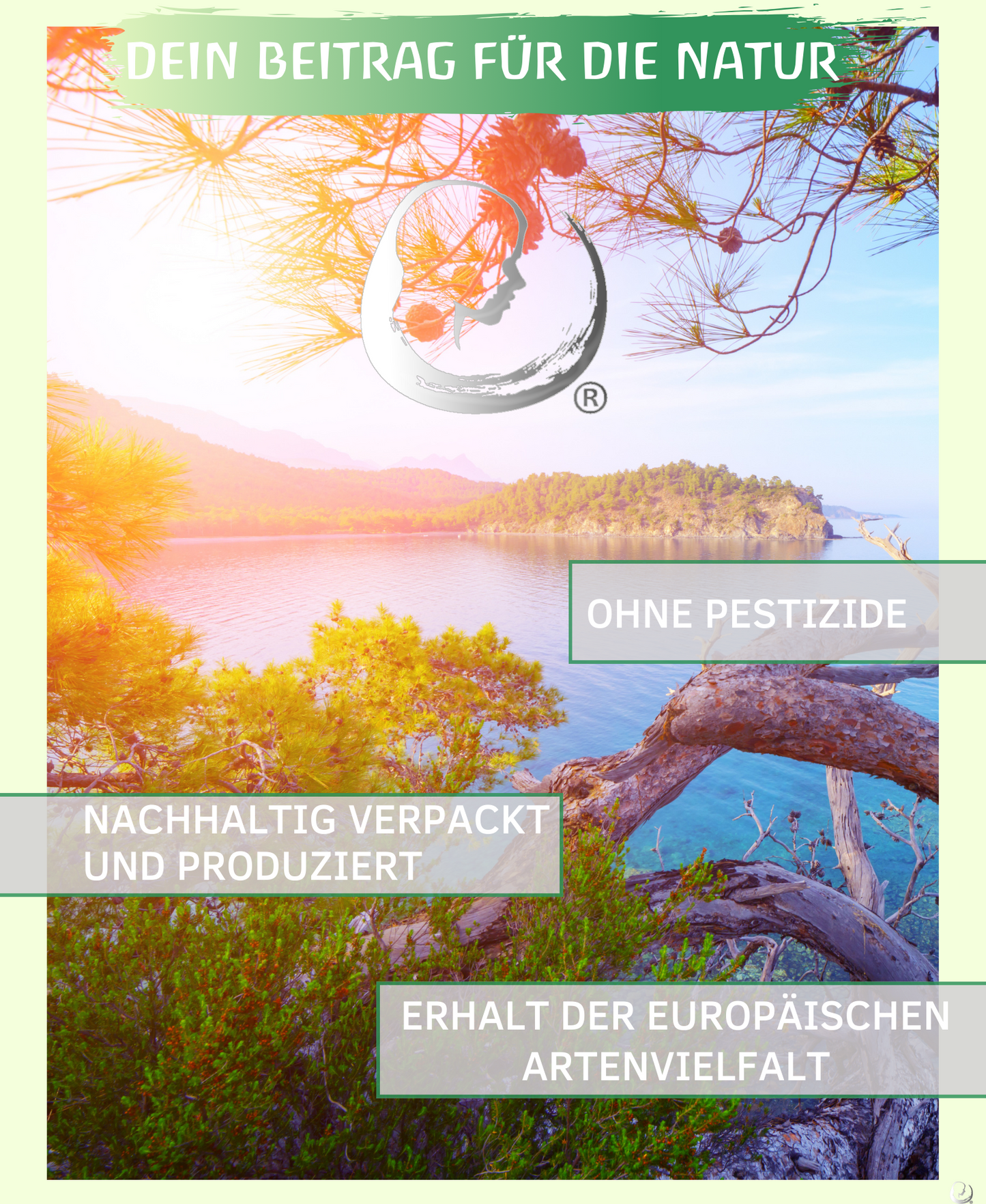 BIO Bergamottenöl (Citrus × bergamia)