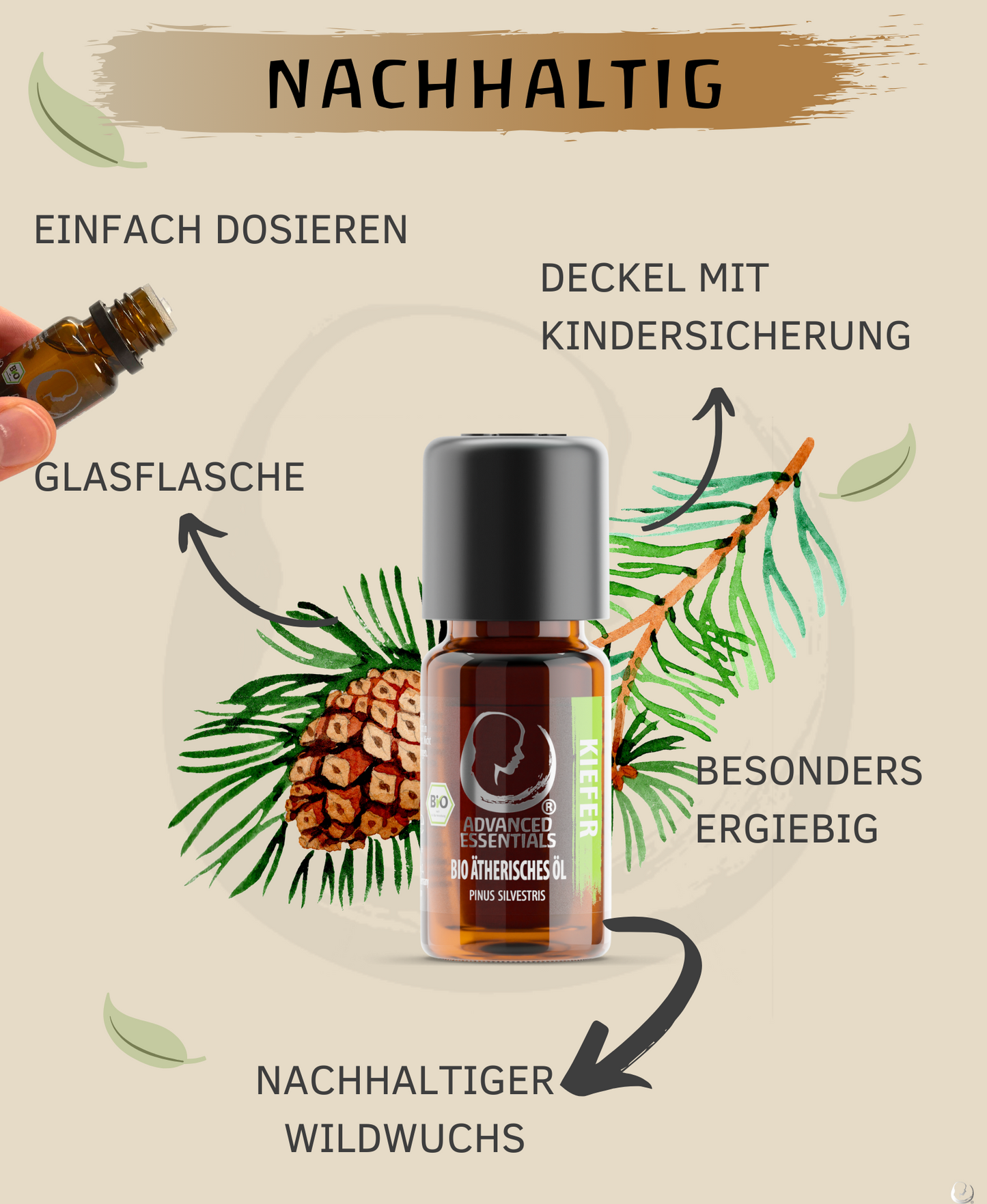 BIO Kiefernöl (Pinus sylvestris)