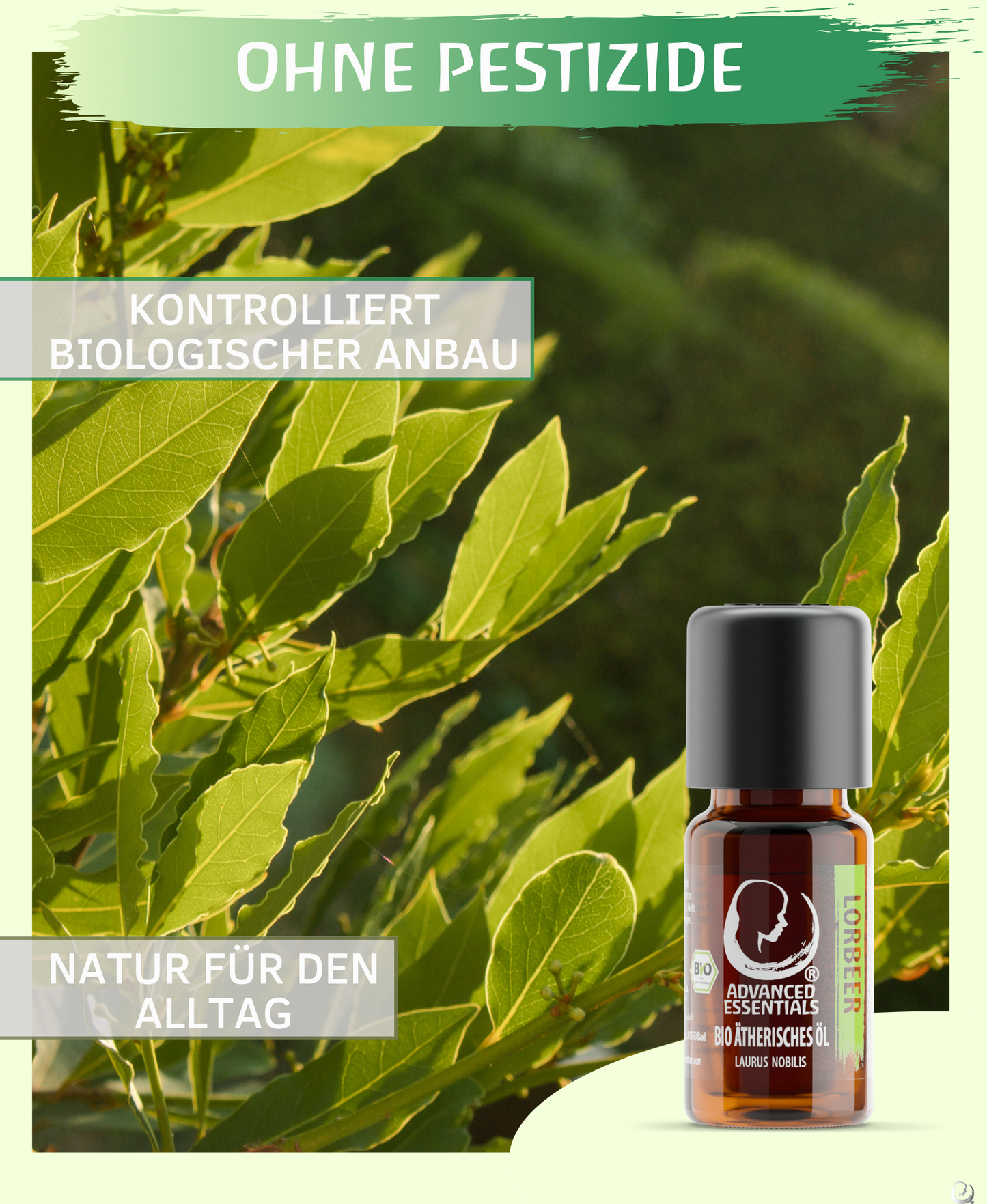 BIO Lorbeeröl (Laurus nobilis)