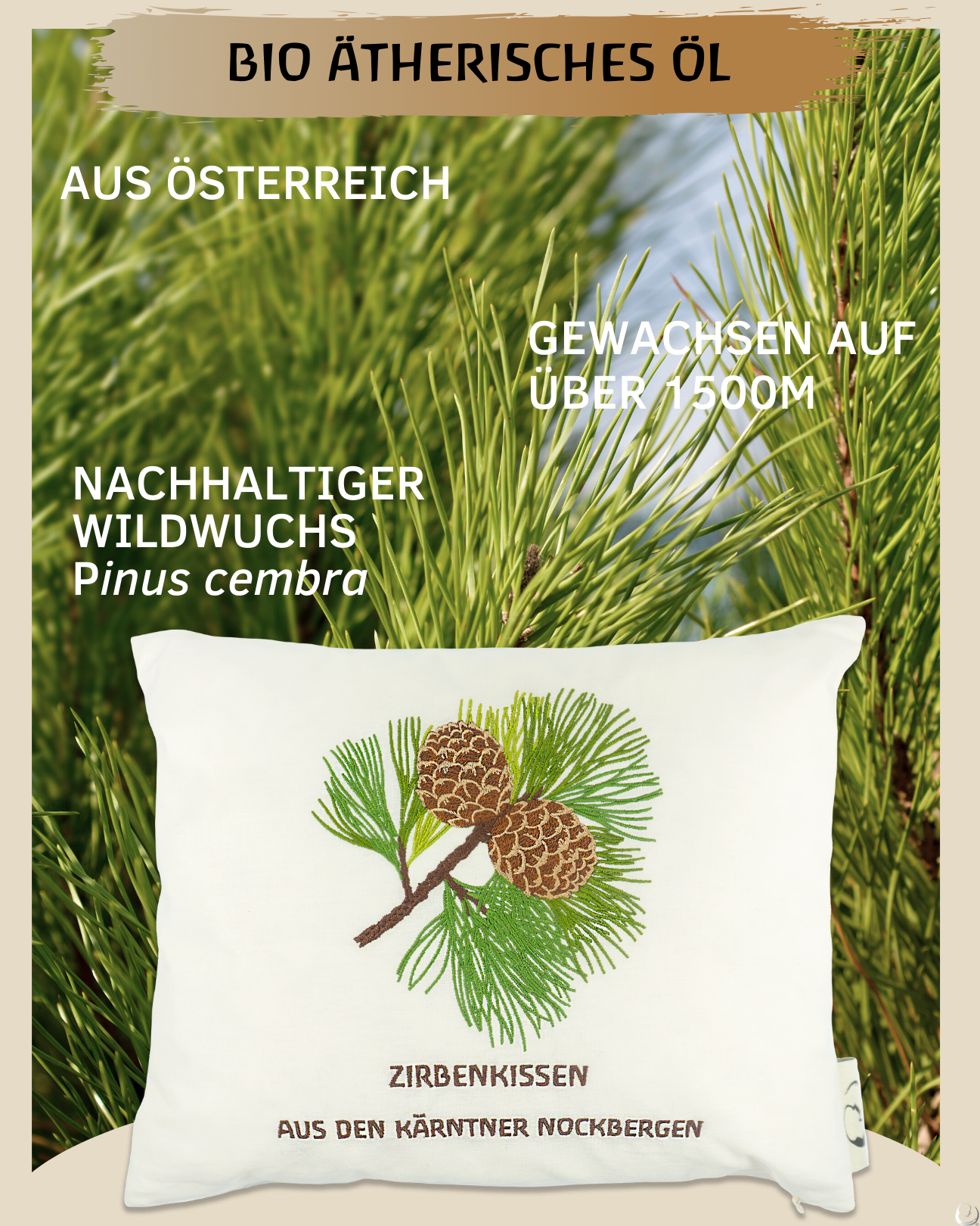 BIO Zirbenkissen (bestickt)