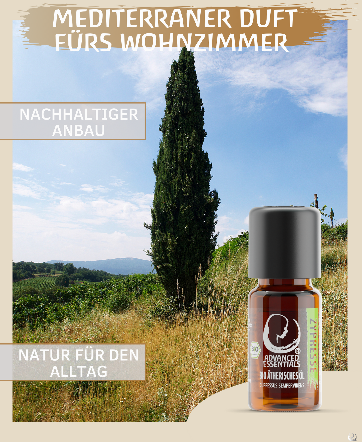 BIO Zypressenöl (Cupressus sempervirens)