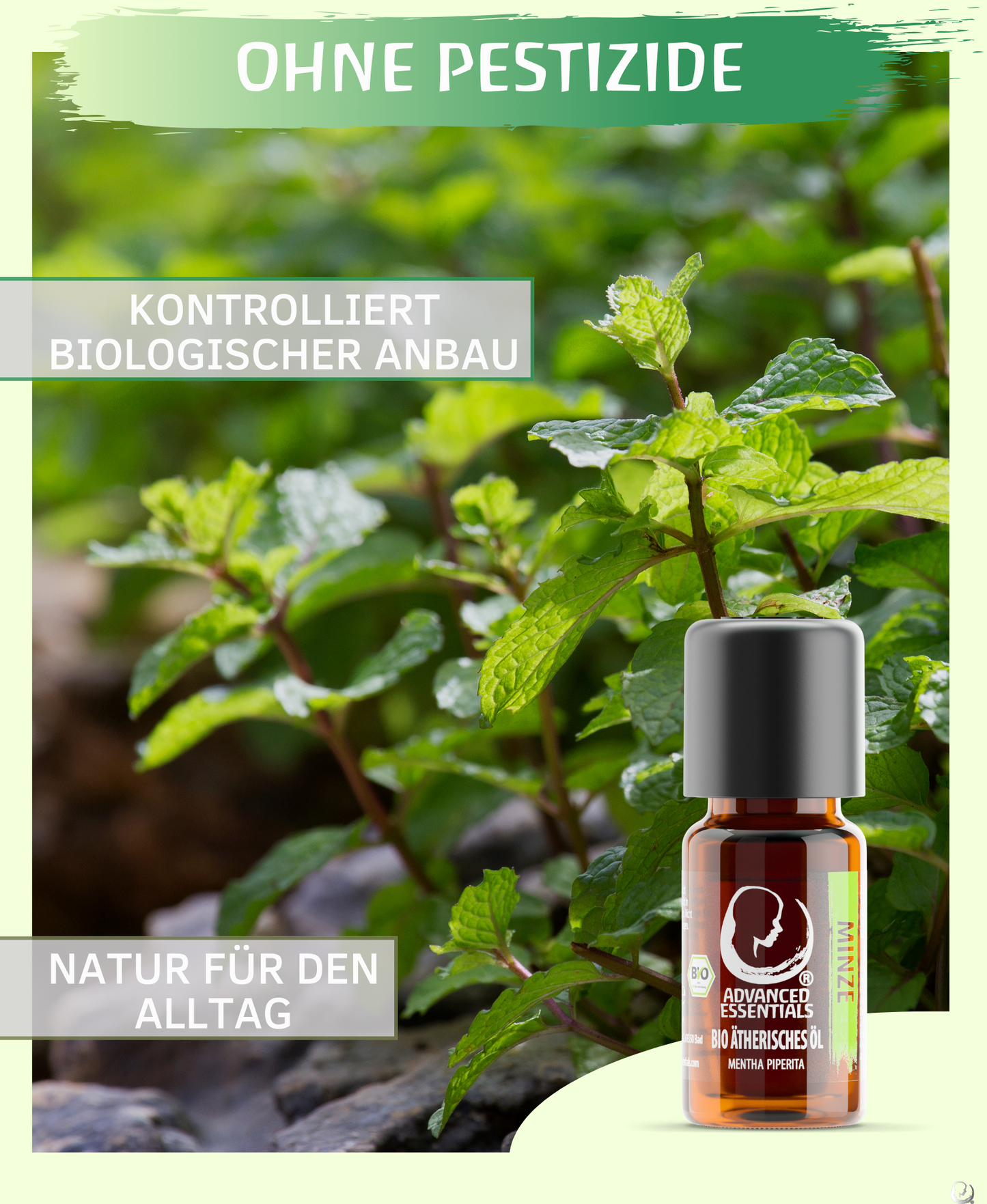 BIO Minzöl (Mentha piperita)