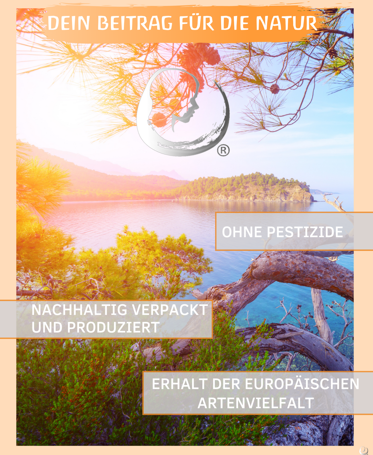 BIO Orangenöl (Citrus sinensis)