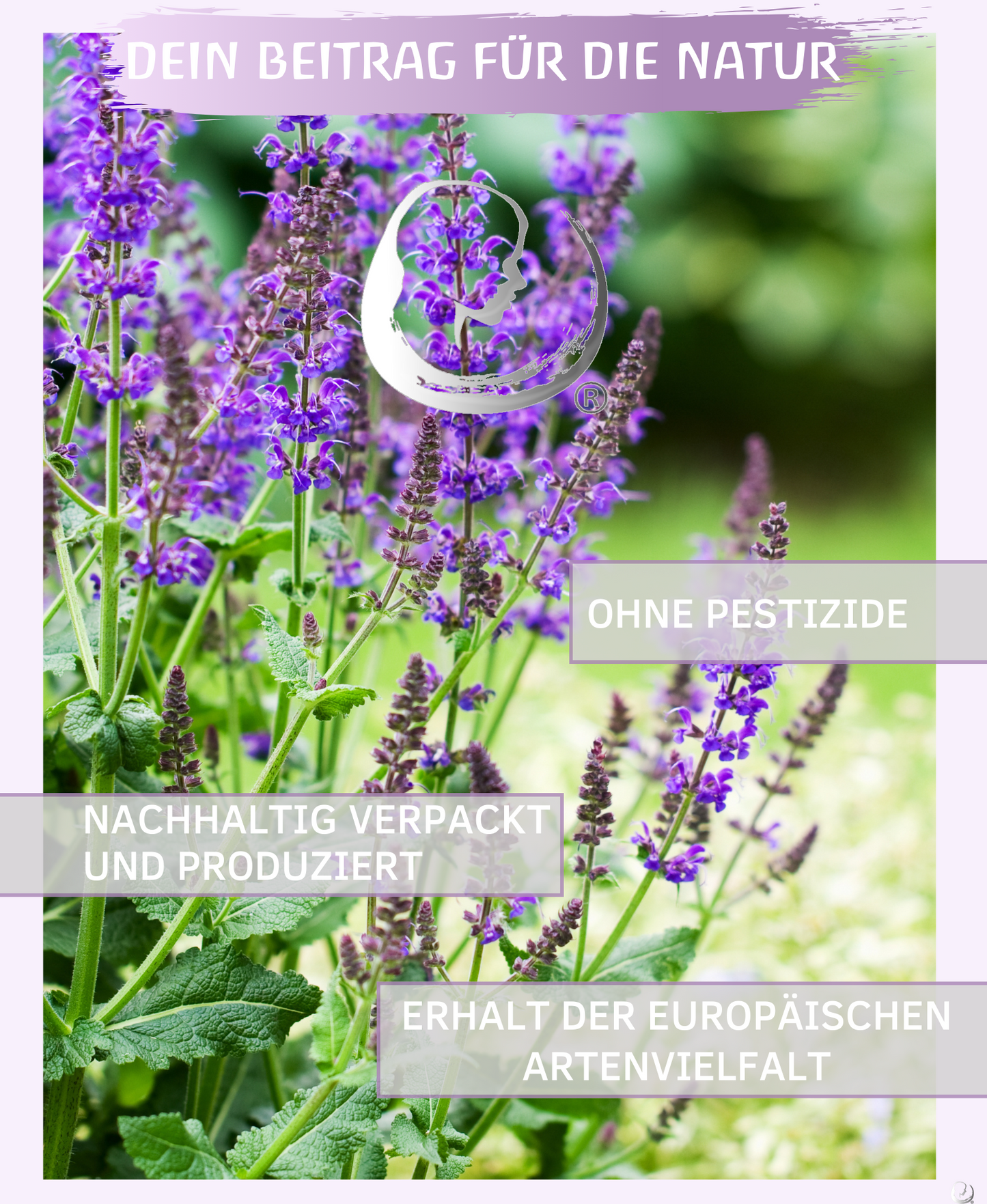 BIO Muskatellersalbeiöl (Salvia sclarea)