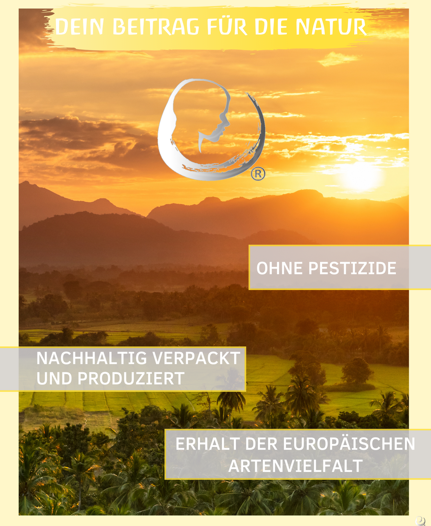 BIO Ingweröl (Zingiber officinale)