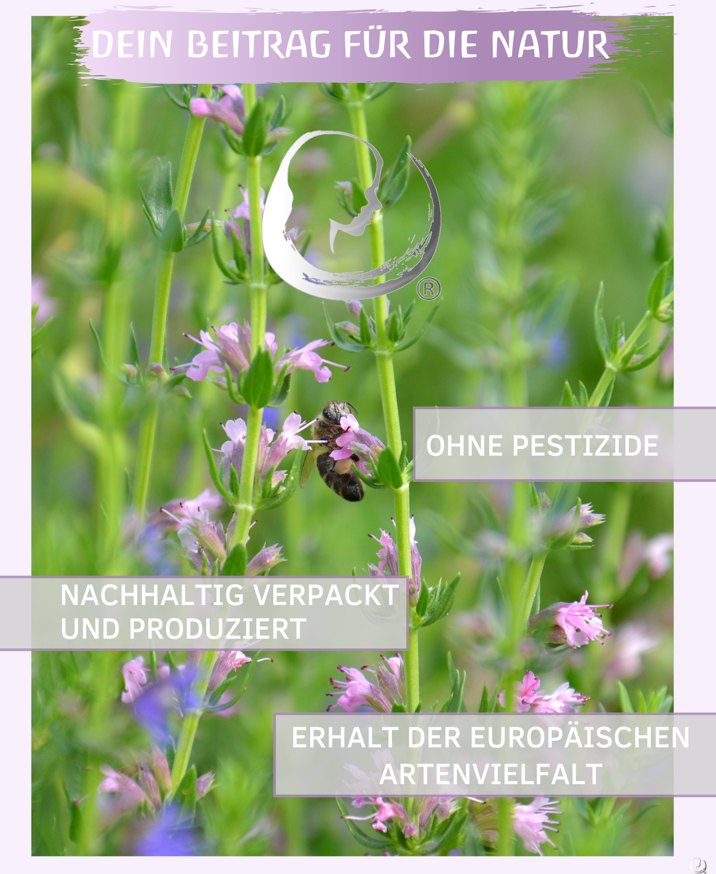 BIO Ysopöl ätherisches Öl (Hyssopus officinalis) kontrolliert biologischer Anbau | Ysopöl bio aus Spanien (Ysop, 5ml)