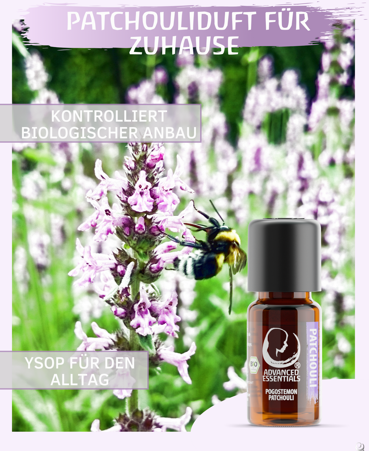 BIO Patchouliöl (Pogostemon patchouli)