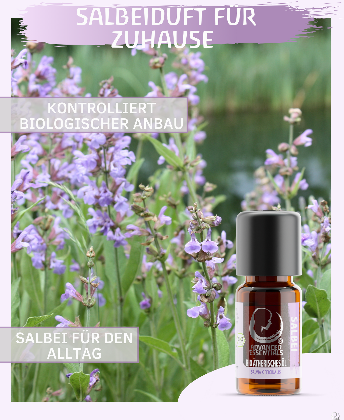 BIO Muskatellersalbeiöl (Salvia sclarea)