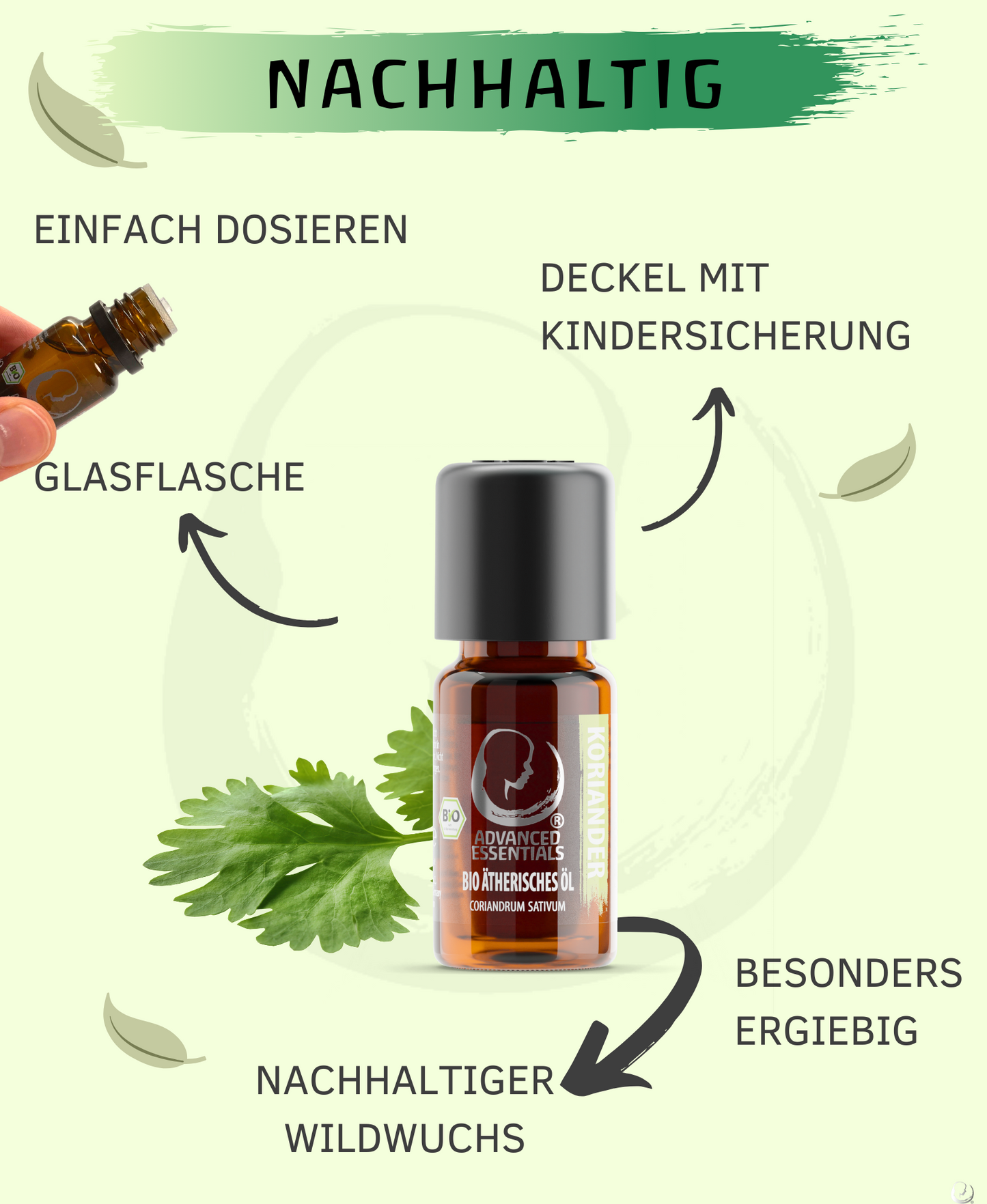 BIO Korianderöl (Coriandrum sativum)