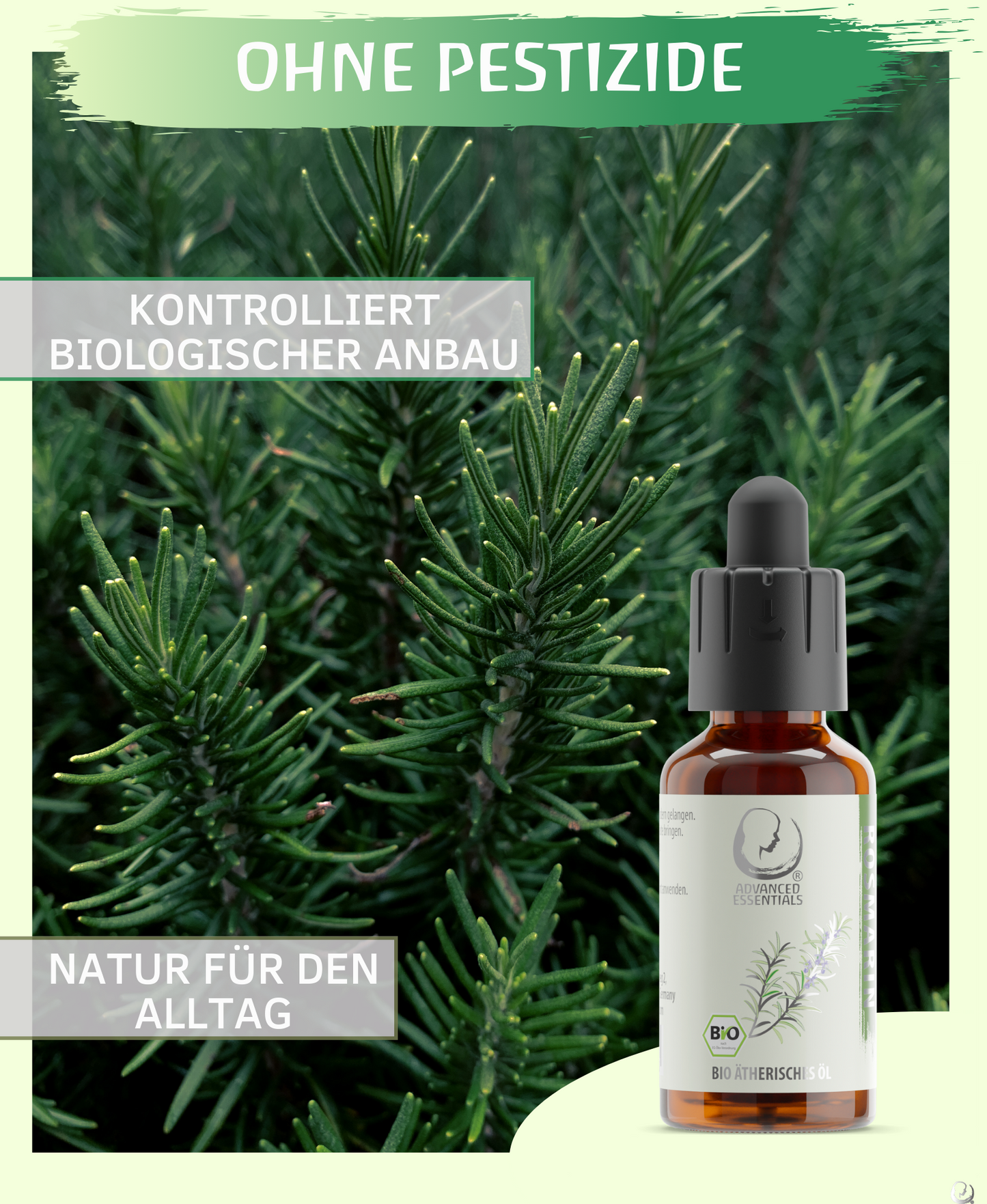 BIO Rosmarinöl (Rosmarinus officinalis) 30 ml