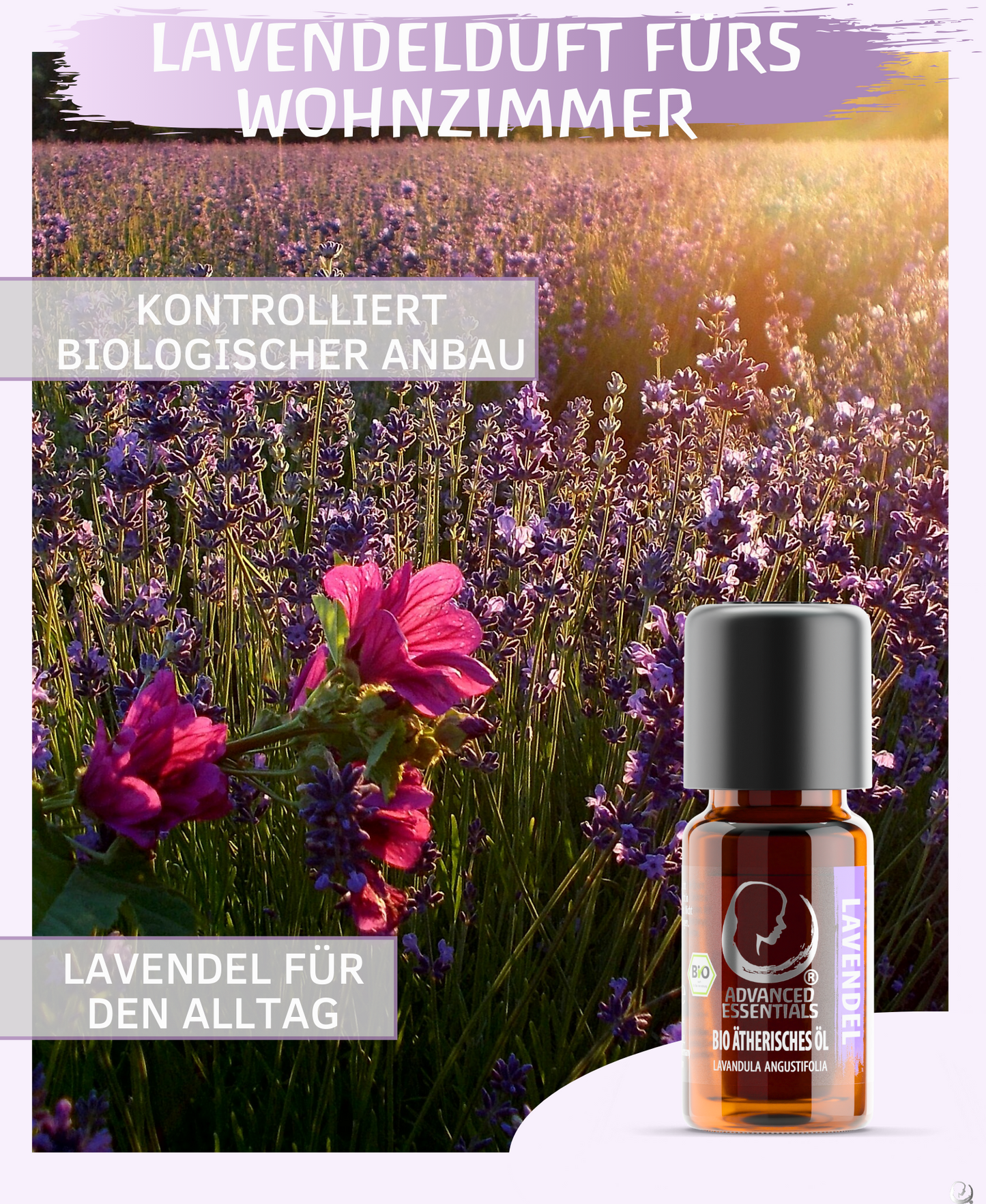 BIO Lavendelöl (Lavandula angustifolia)