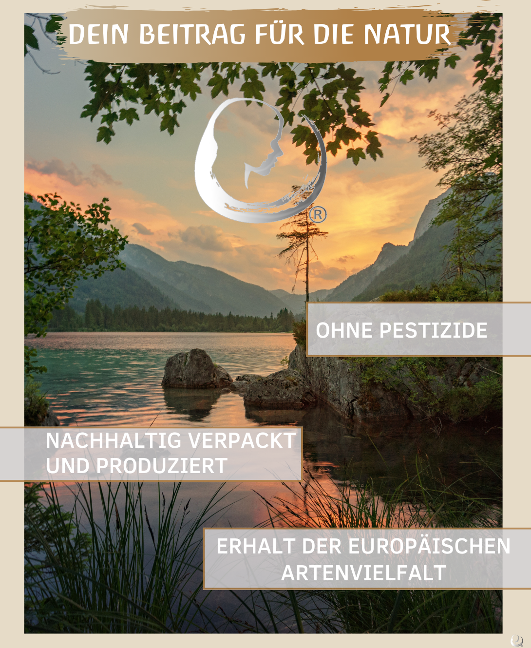 BIO Zirbenöl ätherisches Öl (Pinus cembra) Wildwuchs Zirbenöl bio aus Österreich (Zirbe, 30ml)