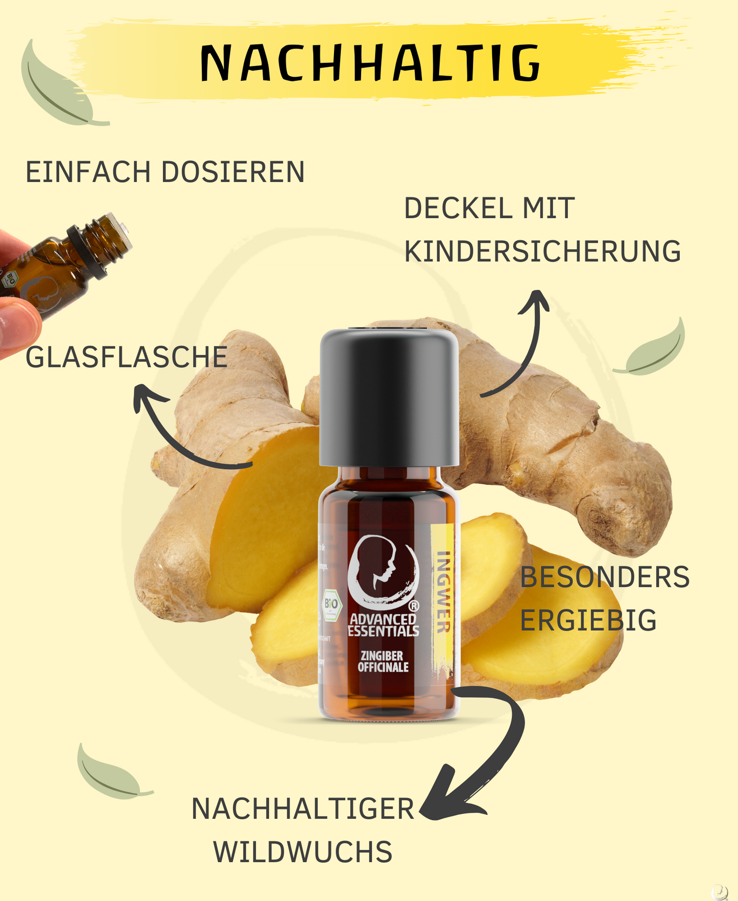 BIO Ingweröl (Zingiber officinale)