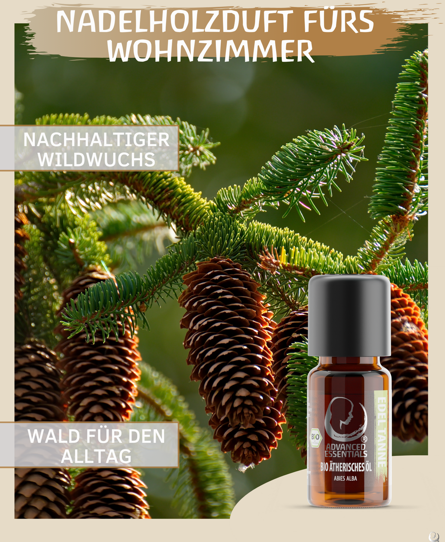 BIO Edeltannenöl (Abies alba)