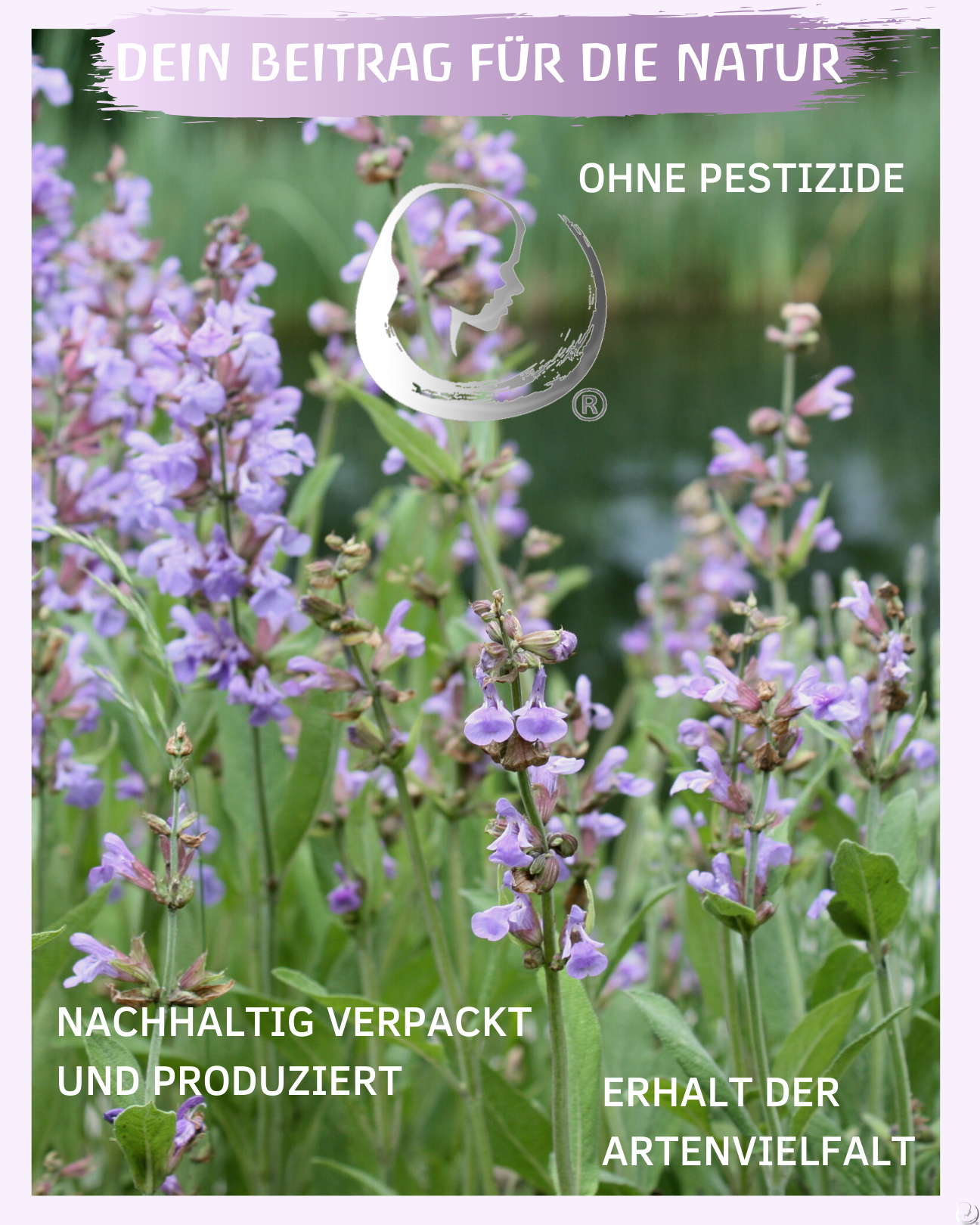 BIO Salbeiwasser
