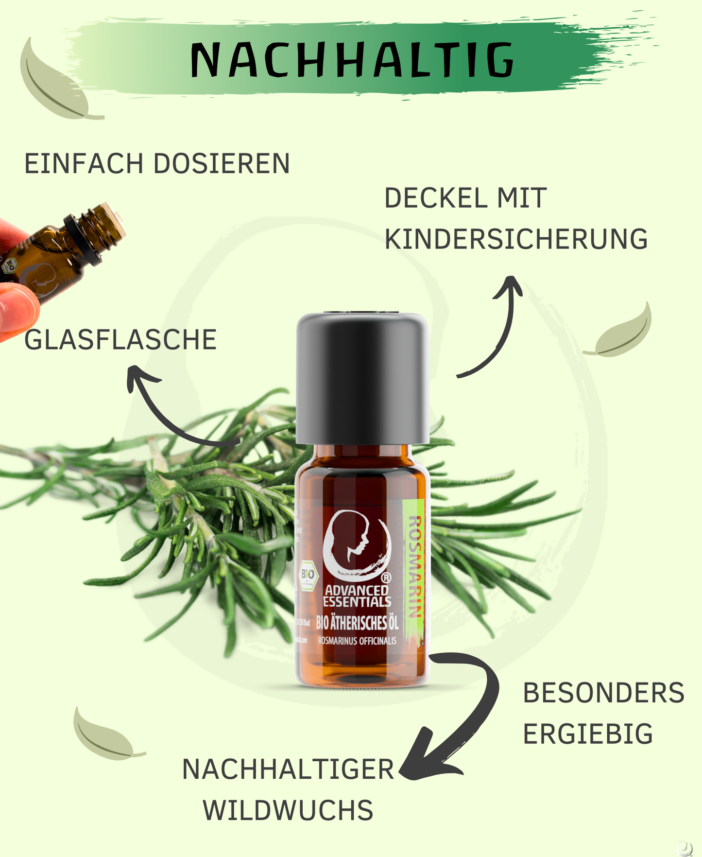 BIO Rosmarinöl (Rosmarinus officinalis ct. campher)