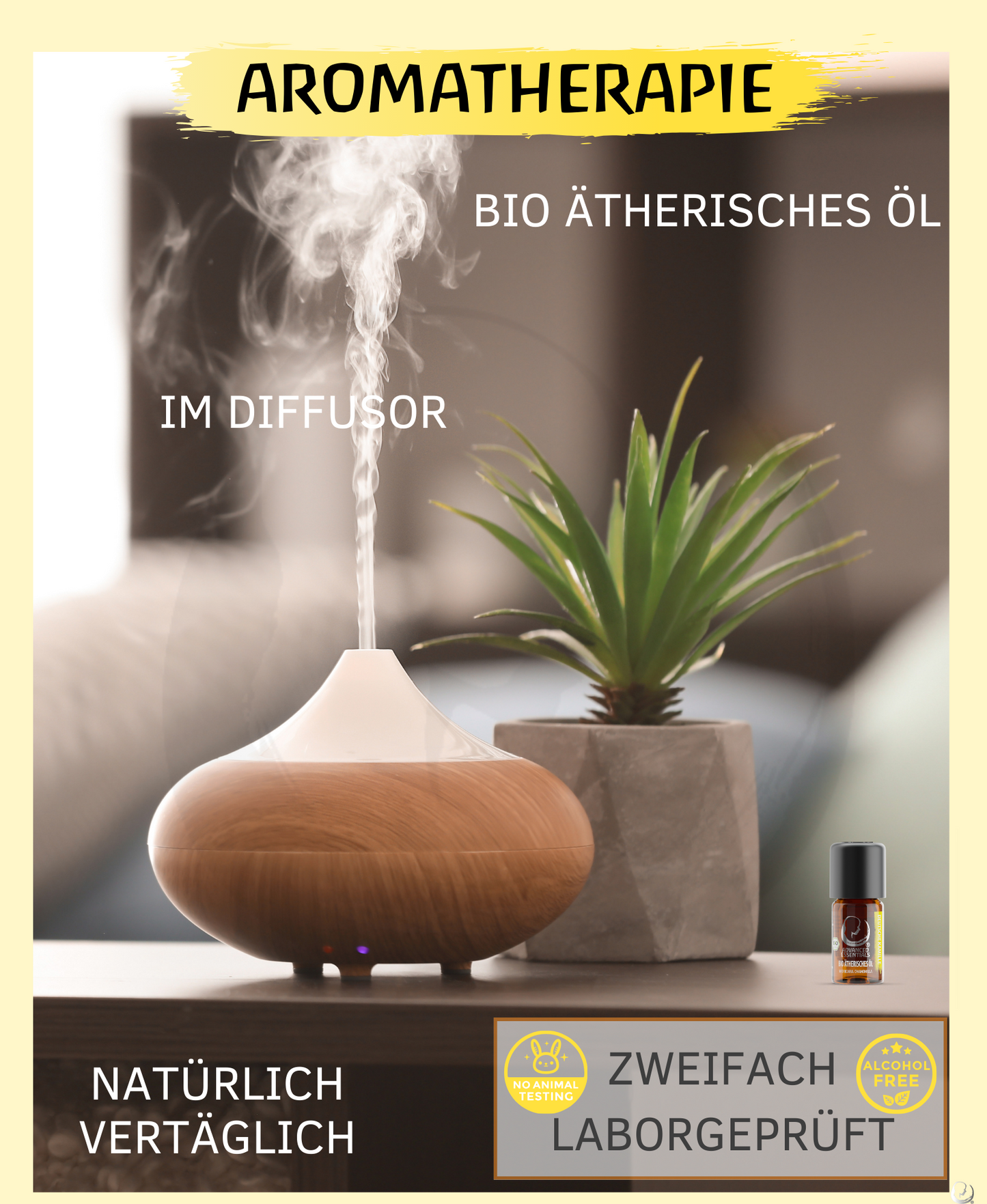 BIO deutsche Kamillenöl (Matricaria chamomilla)