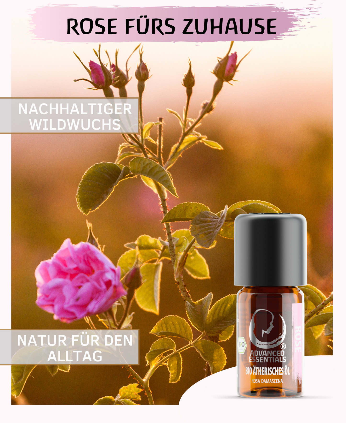 BIO Rosenöl ätherisches Öl (Rosa damascena) 5ml